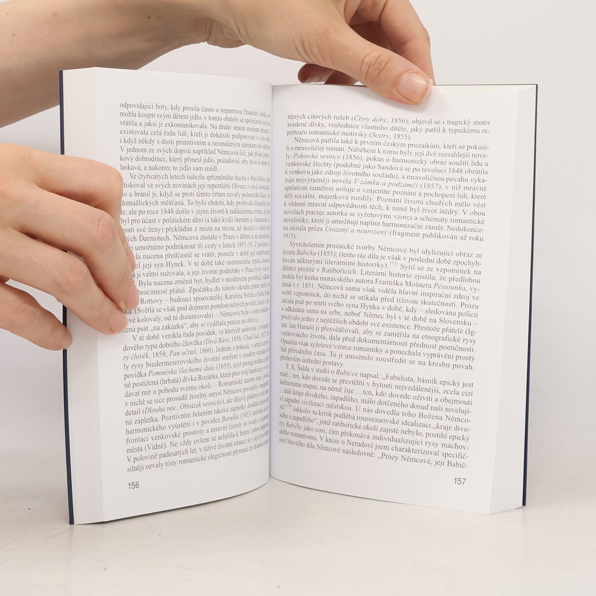 Aleš Haman Trvání v proměně. Česká literatura devatenáctého století