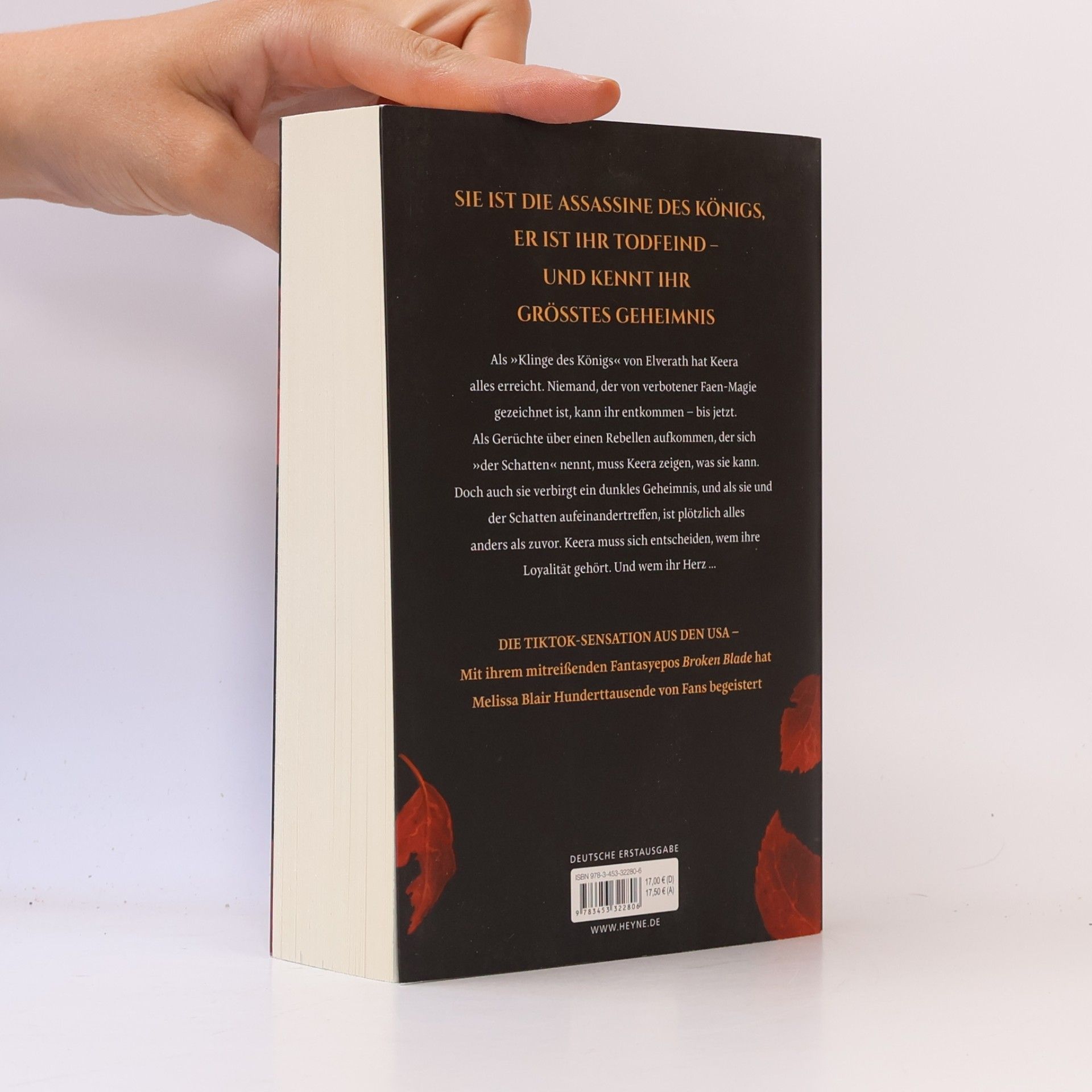 Melissa Blair Broken Blade – Die Klinge des Königs