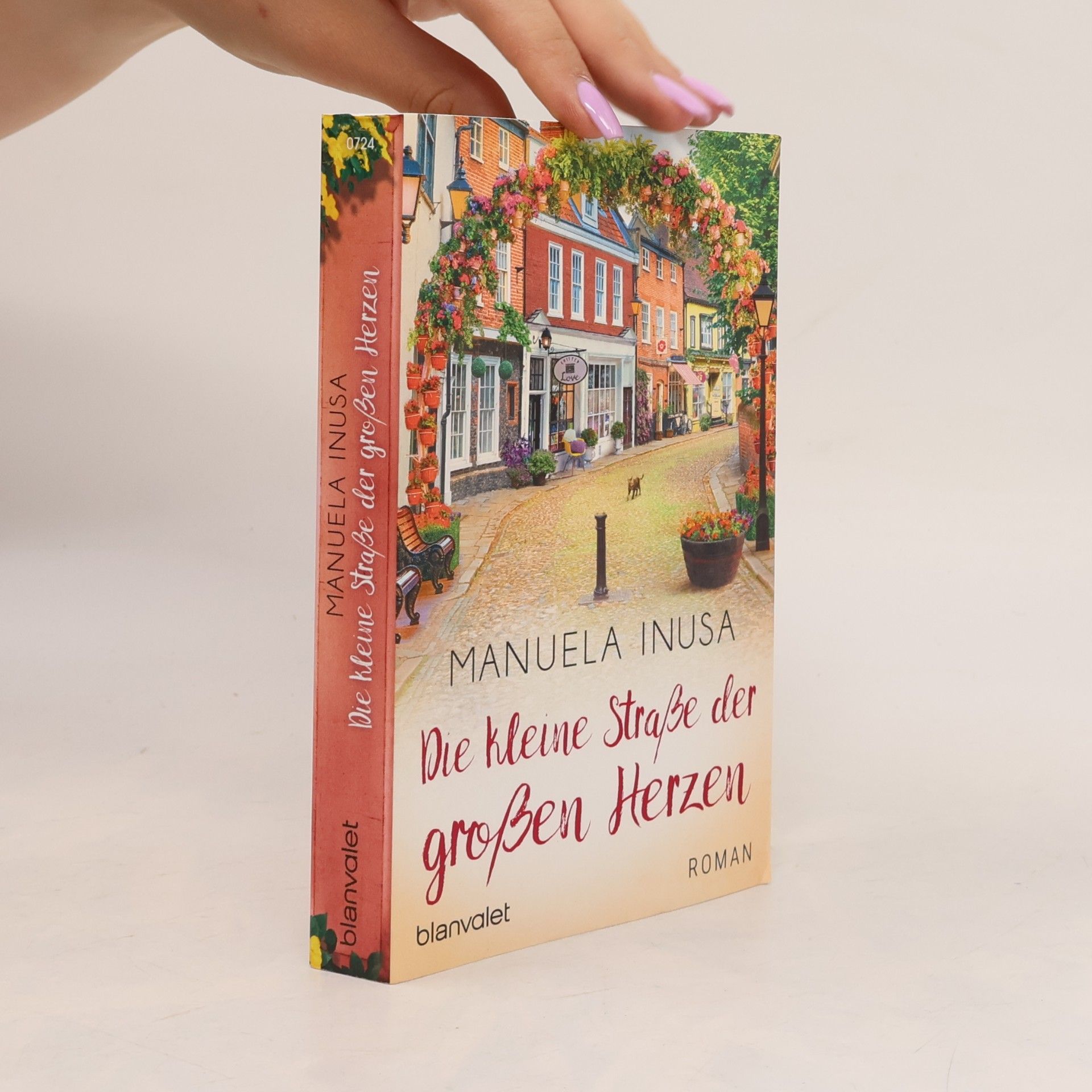 Manuela Inusa Die kleine Straße der großen Herzen