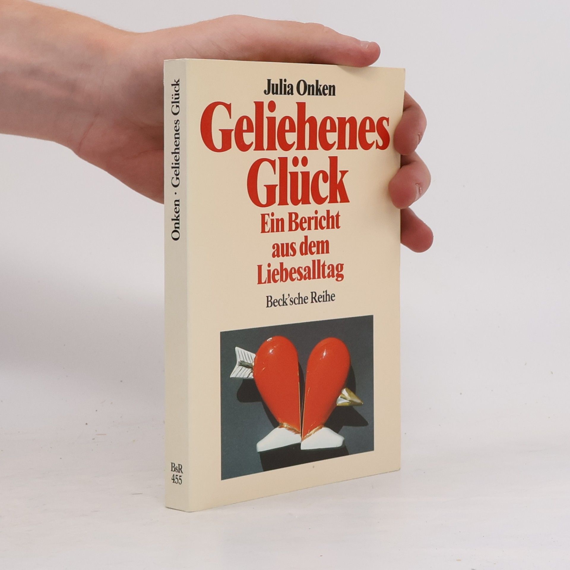 Julia Onken Geliehenes Glück: ein Bericht aus dem Liebesalltag