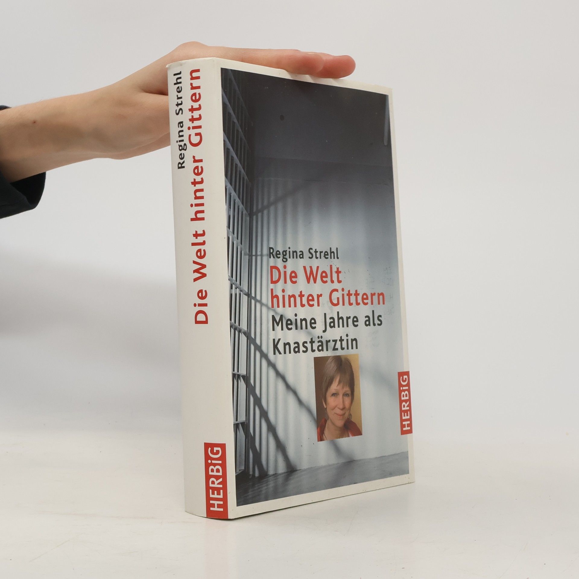 Regina Strehl Die Welt hinter Gittern