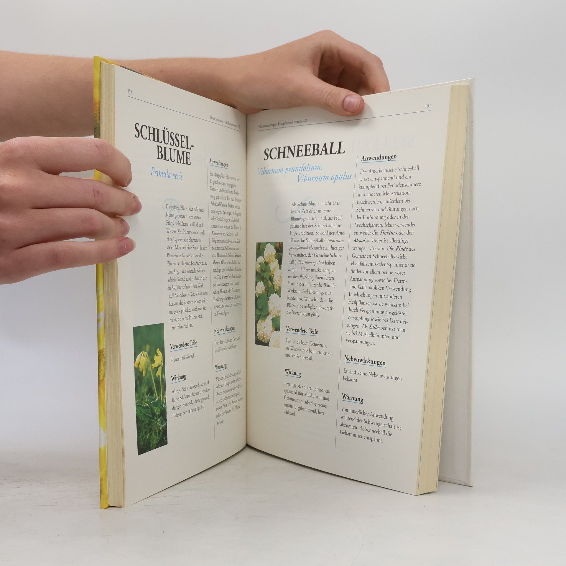 Kolektiv autorů Hausbuch Natürliche Heilmethoden