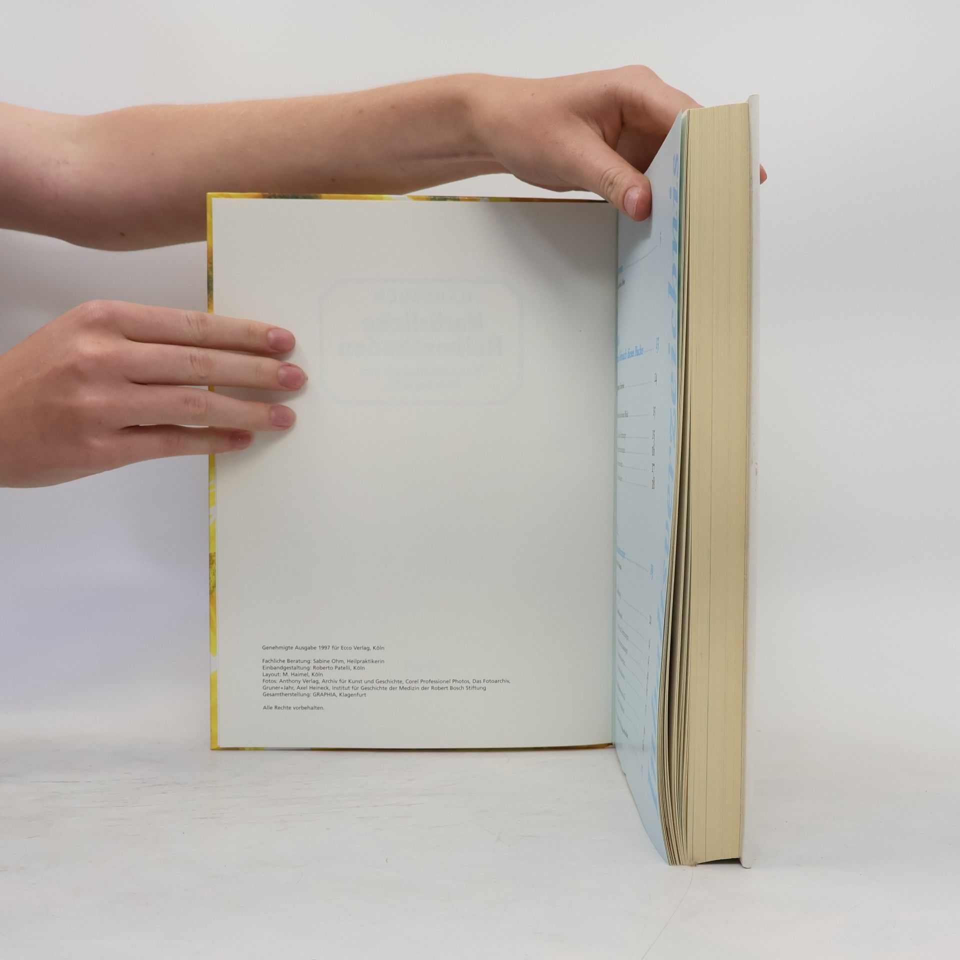 Kolektiv autorů Hausbuch Natürliche Heilmethoden