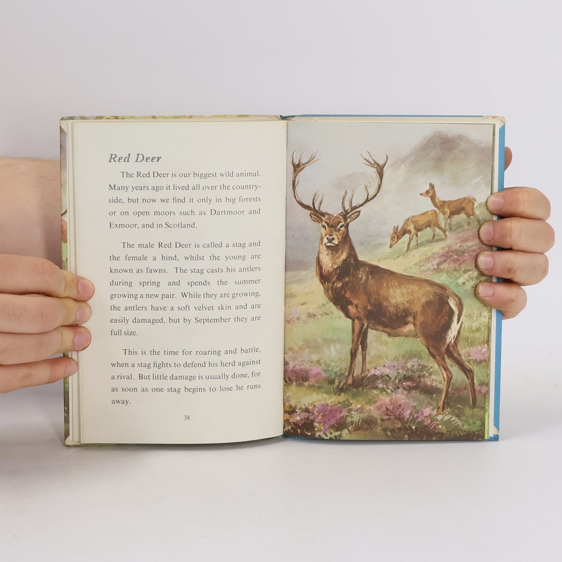 George Soper Cansdale British Wild Animals