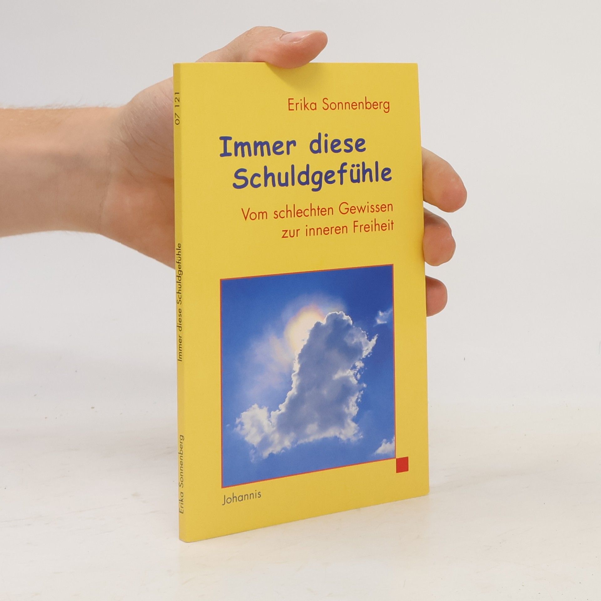 Erika Sonnenberg Immer diese Schuldgefühle