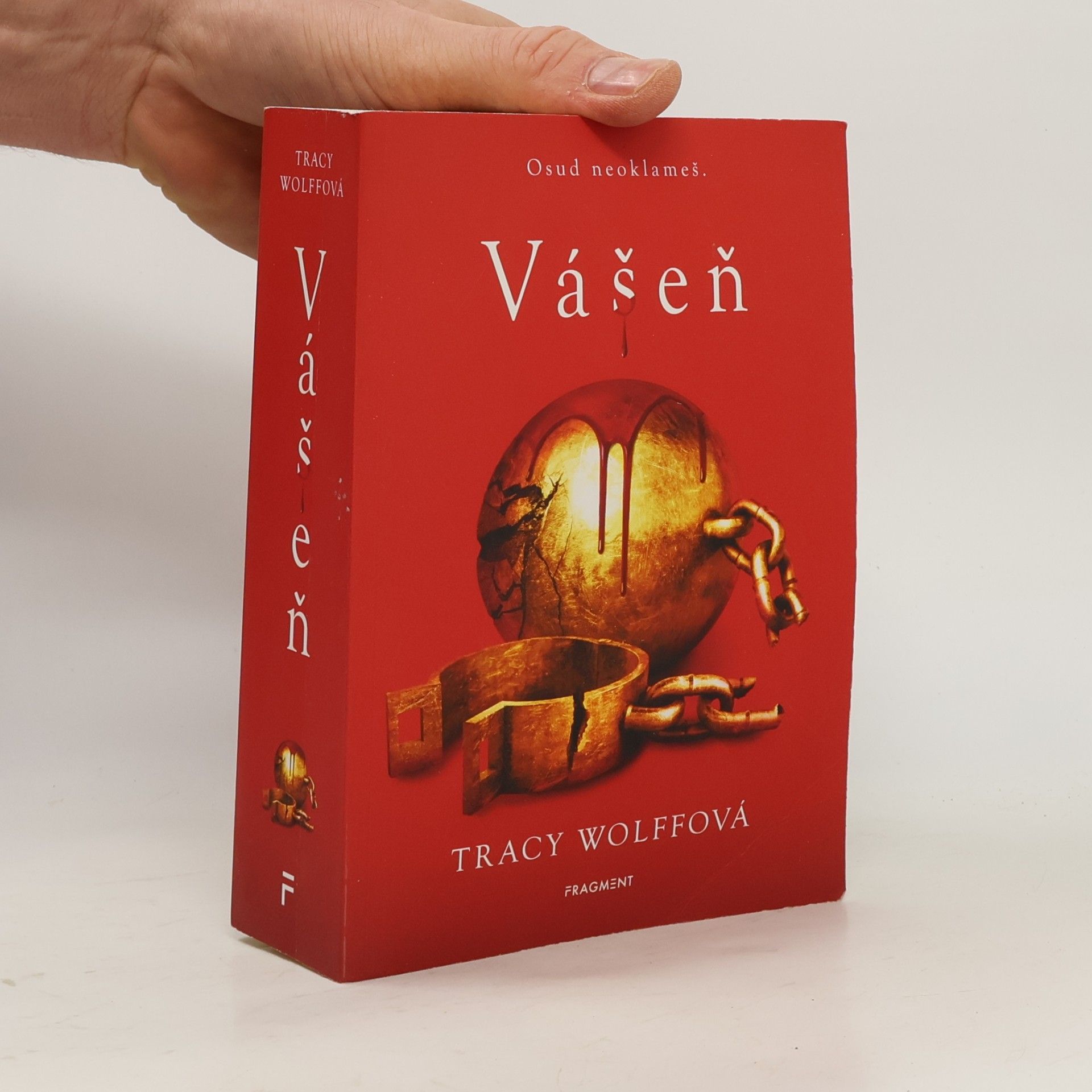 Tracy Wolff Vášeň