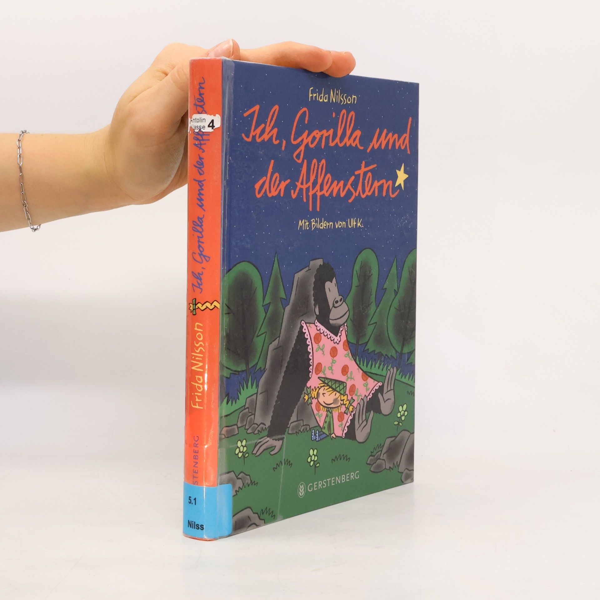 Frida Nilsson Ich, Gorilla und der Affenstern