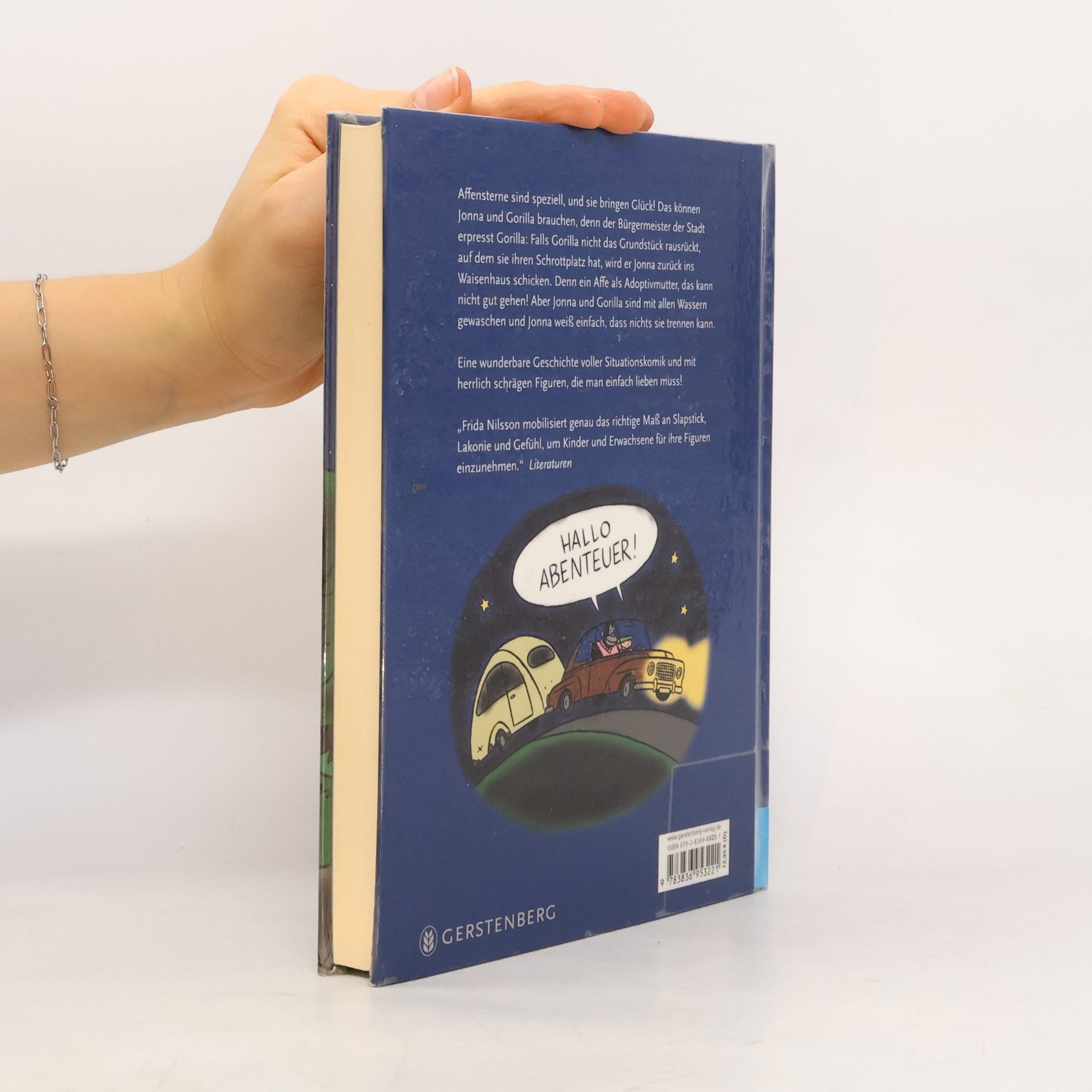 Frida Nilsson Ich, Gorilla und der Affenstern