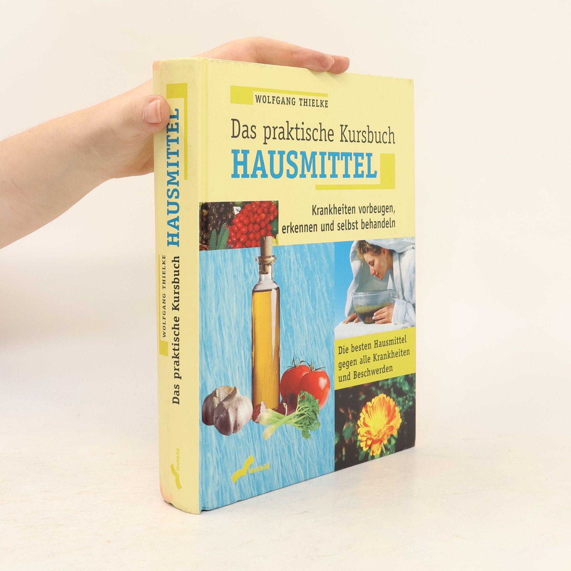 Wolfgang Thielke Das praktische Kursbuch Hausmittel