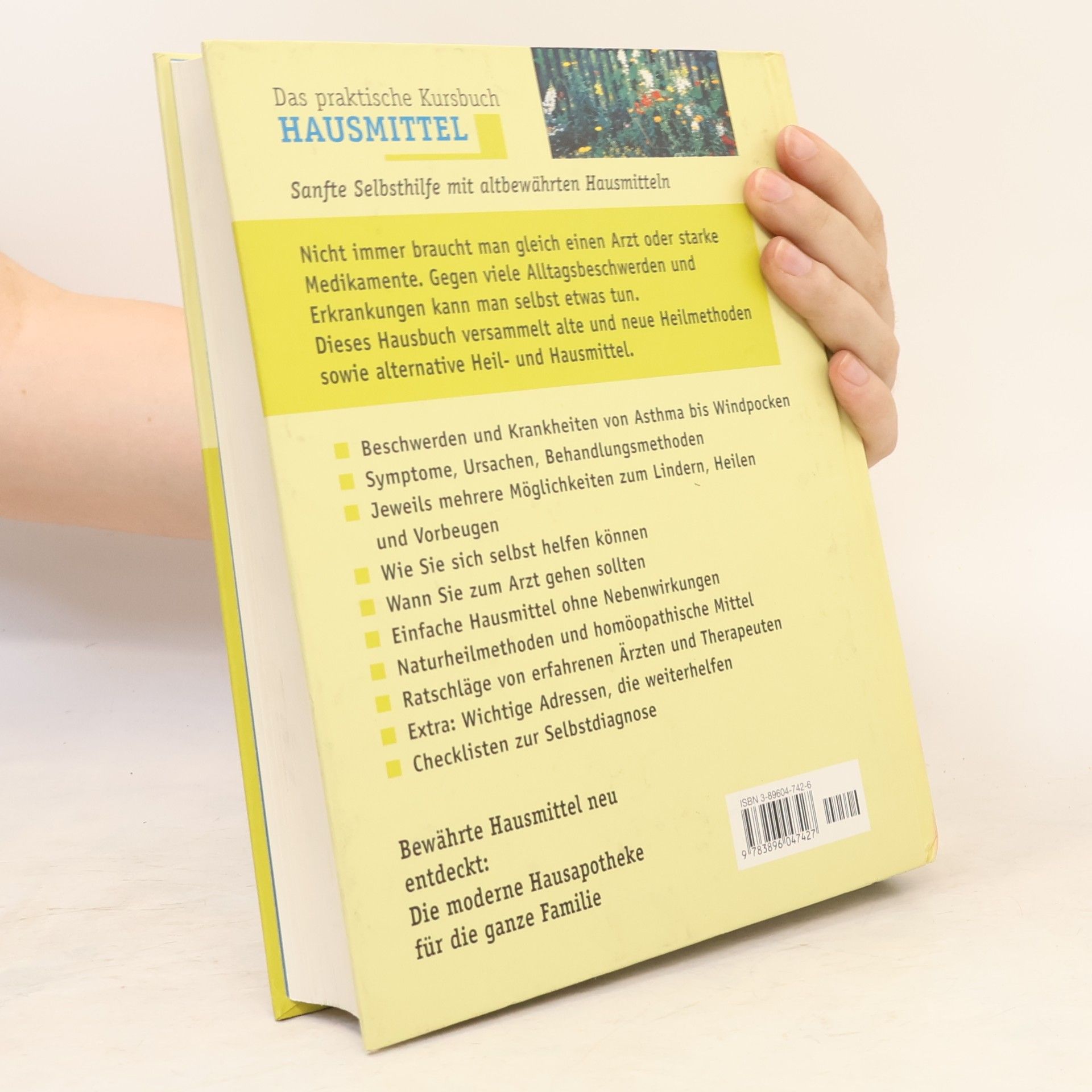 Wolfgang Thielke Das praktische Kursbuch Hausmittel