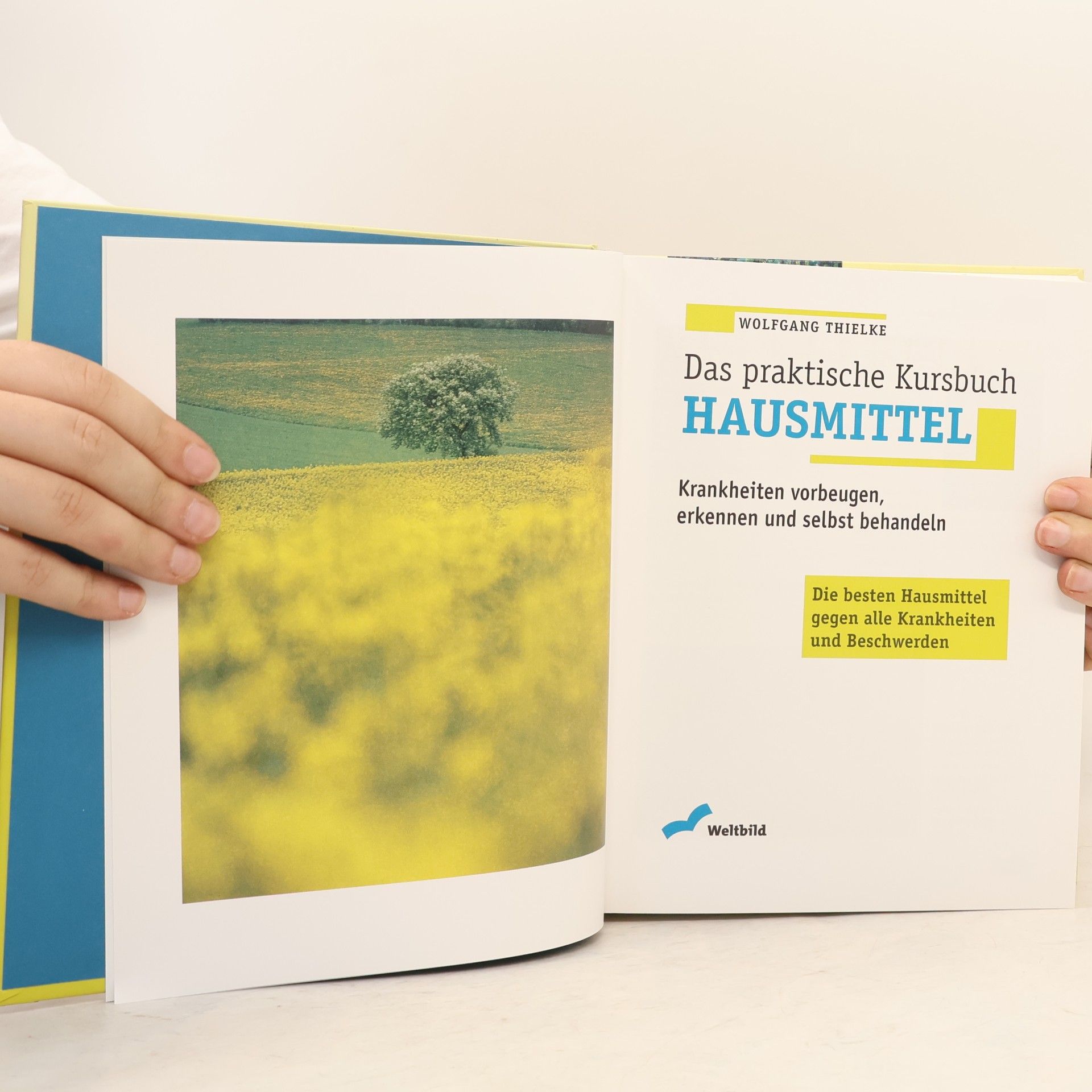 Wolfgang Thielke Das praktische Kursbuch Hausmittel