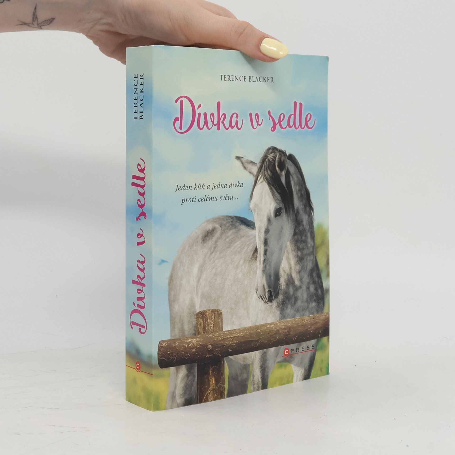Terence Blacker Dívka v sedle