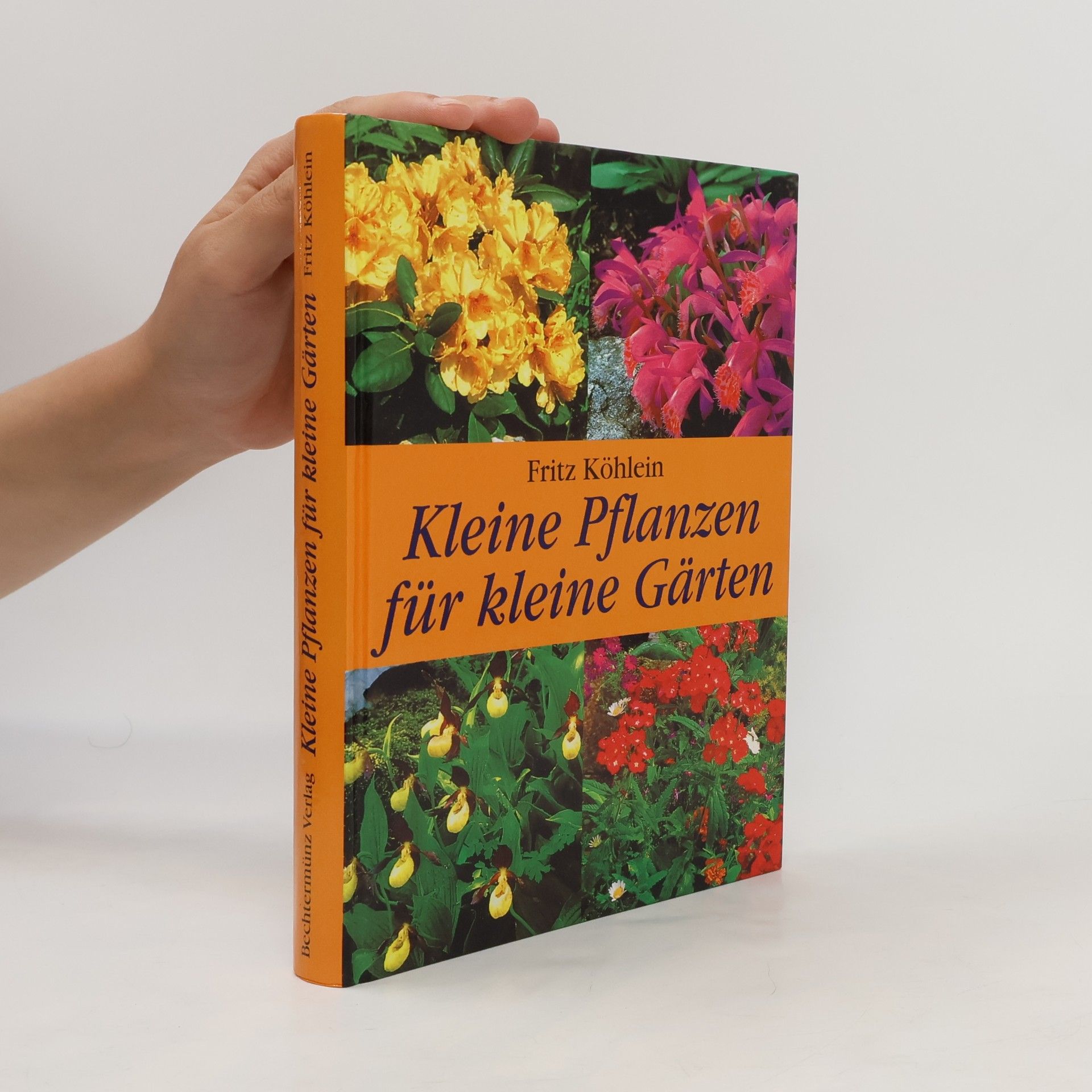 Kleine Pflanzen für kleine Gärten