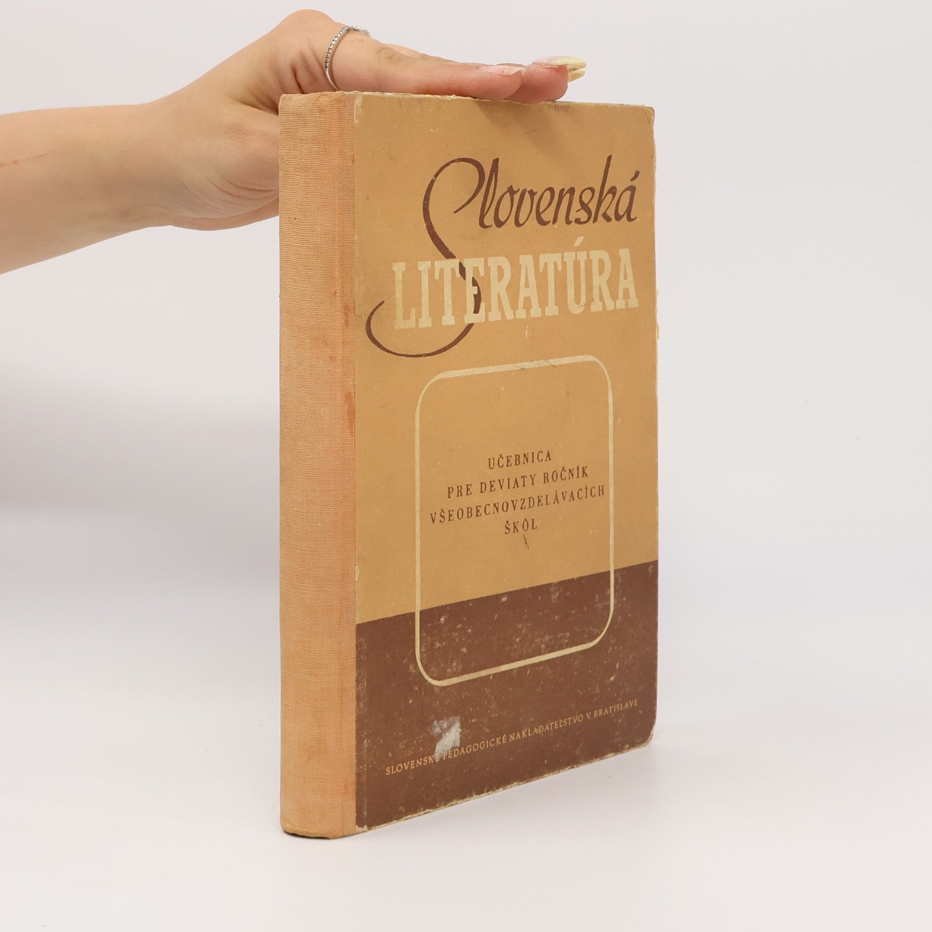 Autorenkollektiv Slovenská literatúra