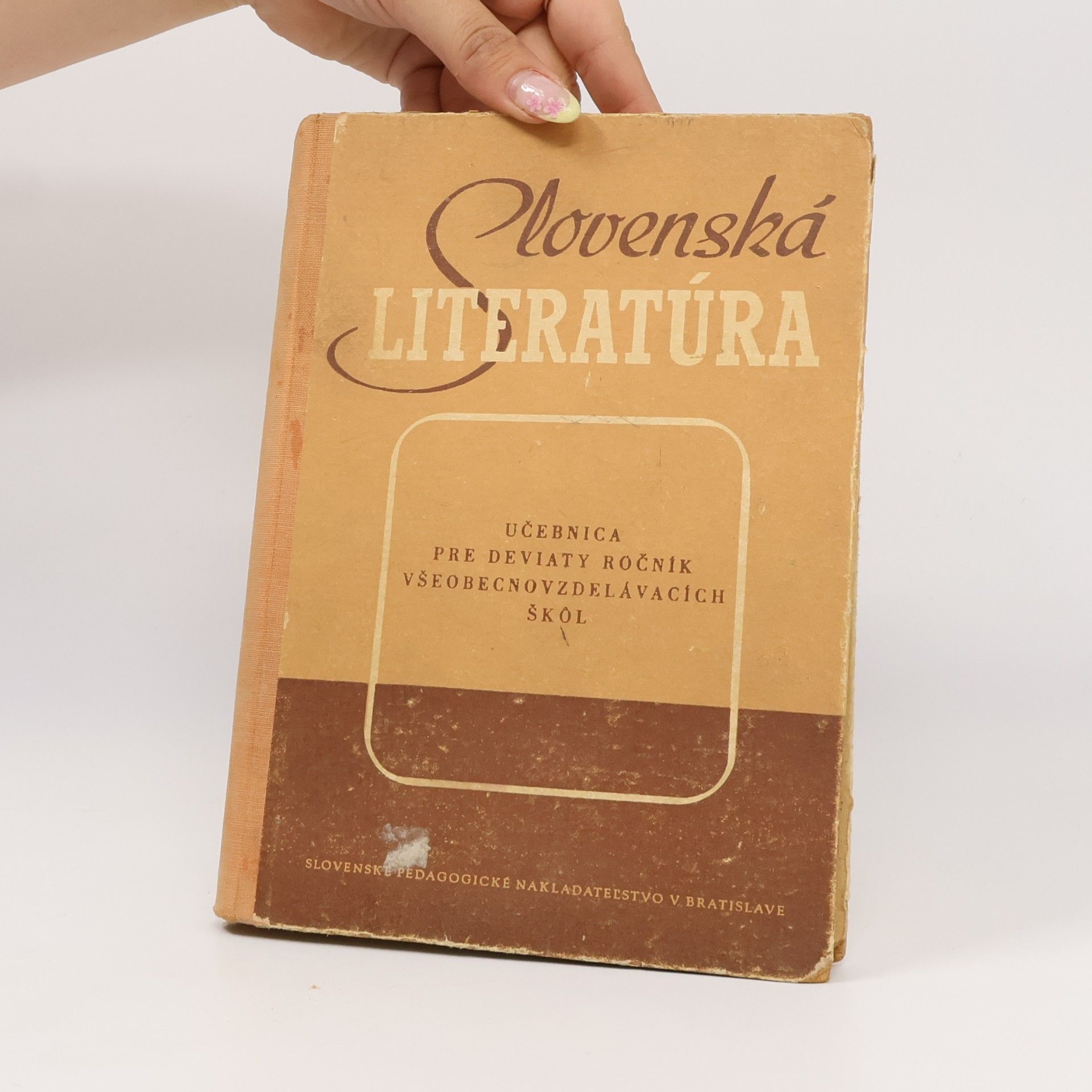 Autorenkollektiv Slovenská literatúra