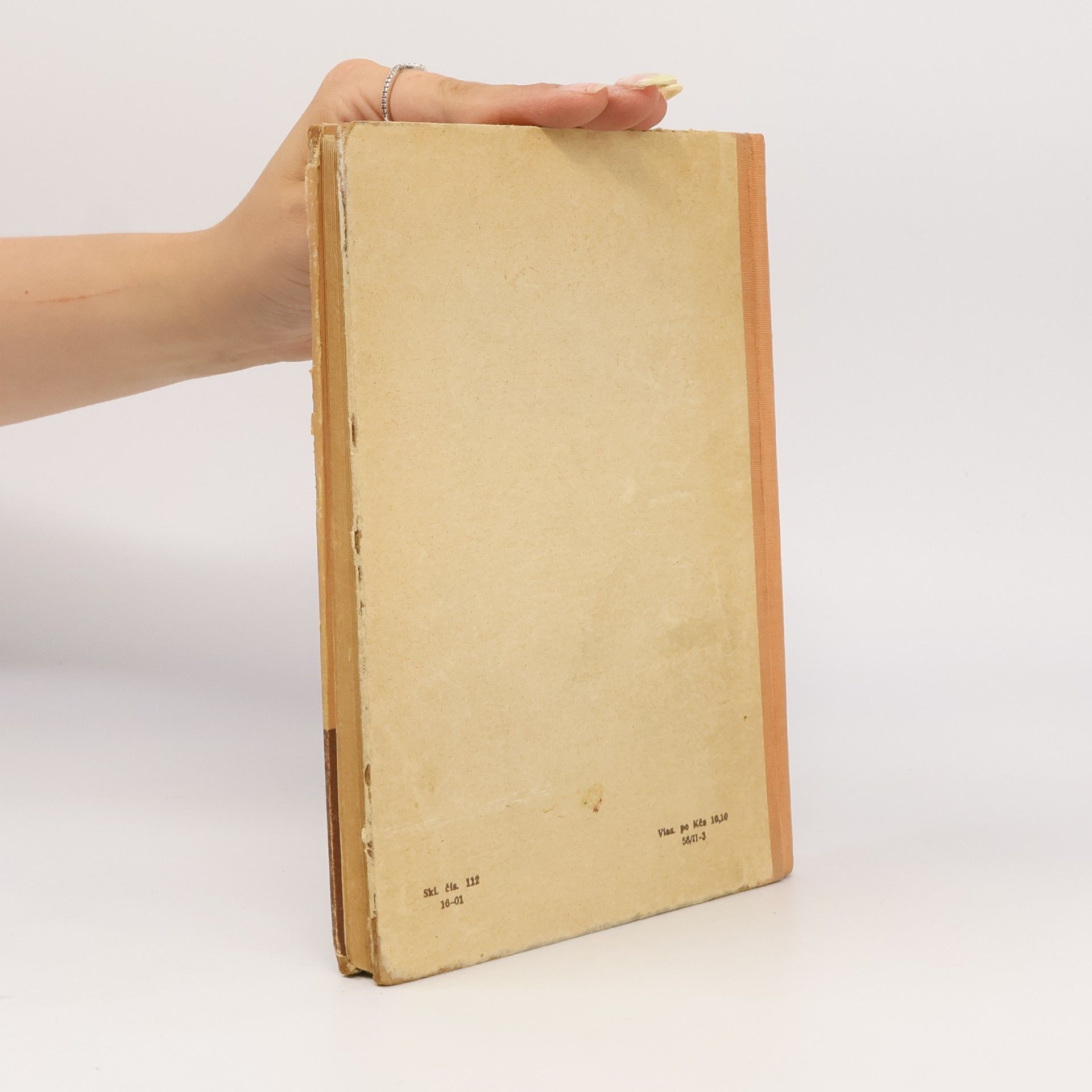 Autorenkollektiv Slovenská literatúra