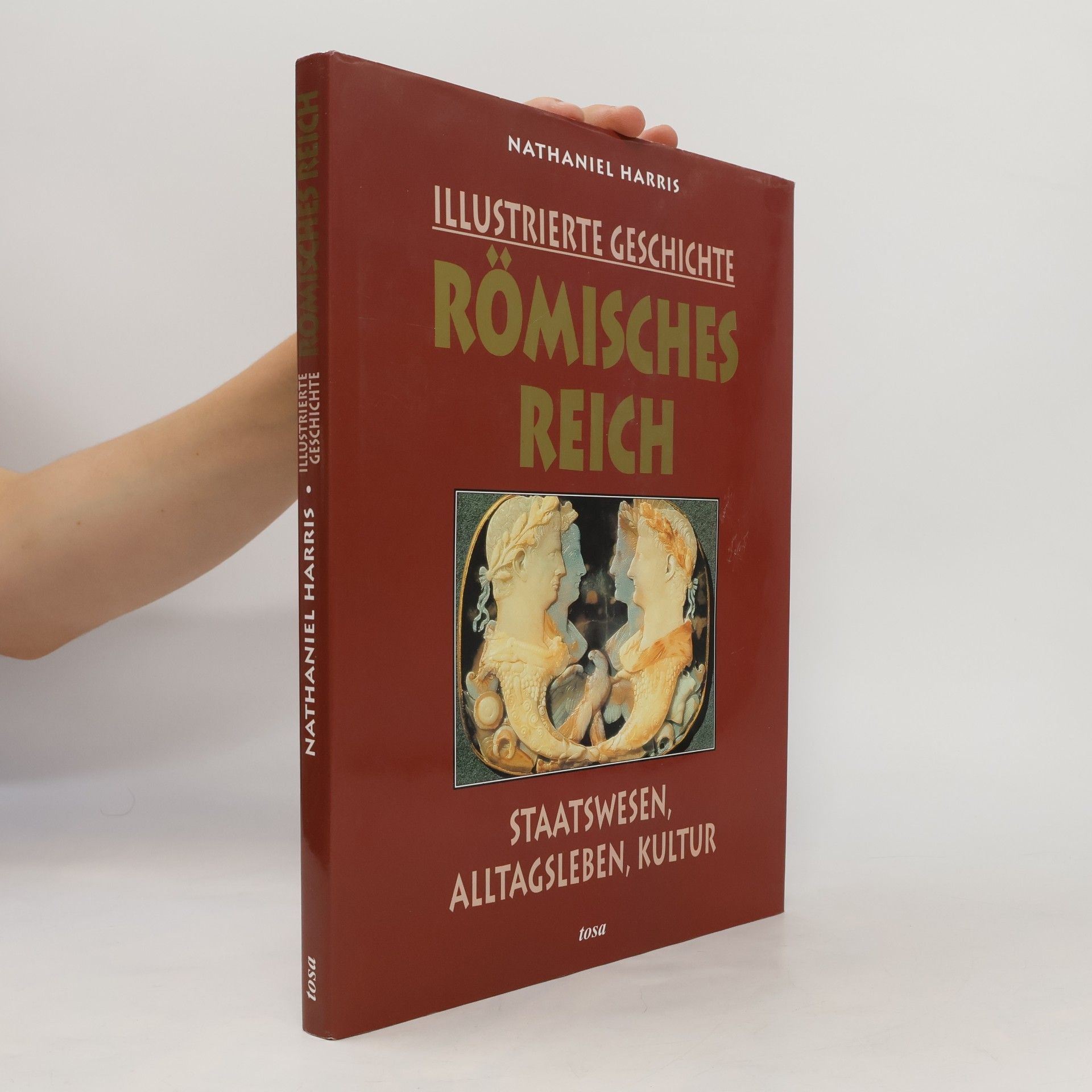 Nathaniel Harris Illustrierte Geschichte Römisches Reich. Staatswesen, Alltagsleben, Kultur