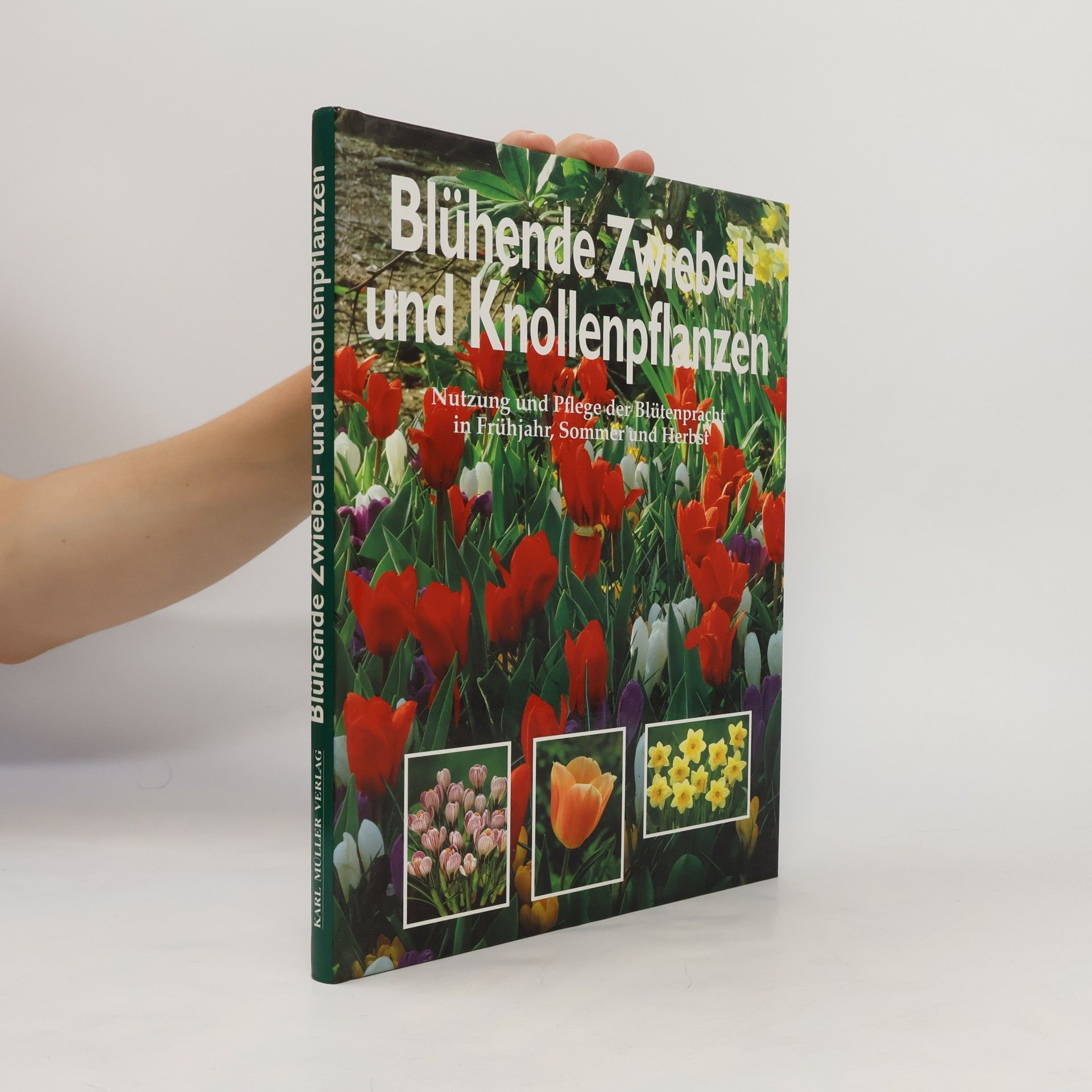 Blühende Knollen und Zwiebeln