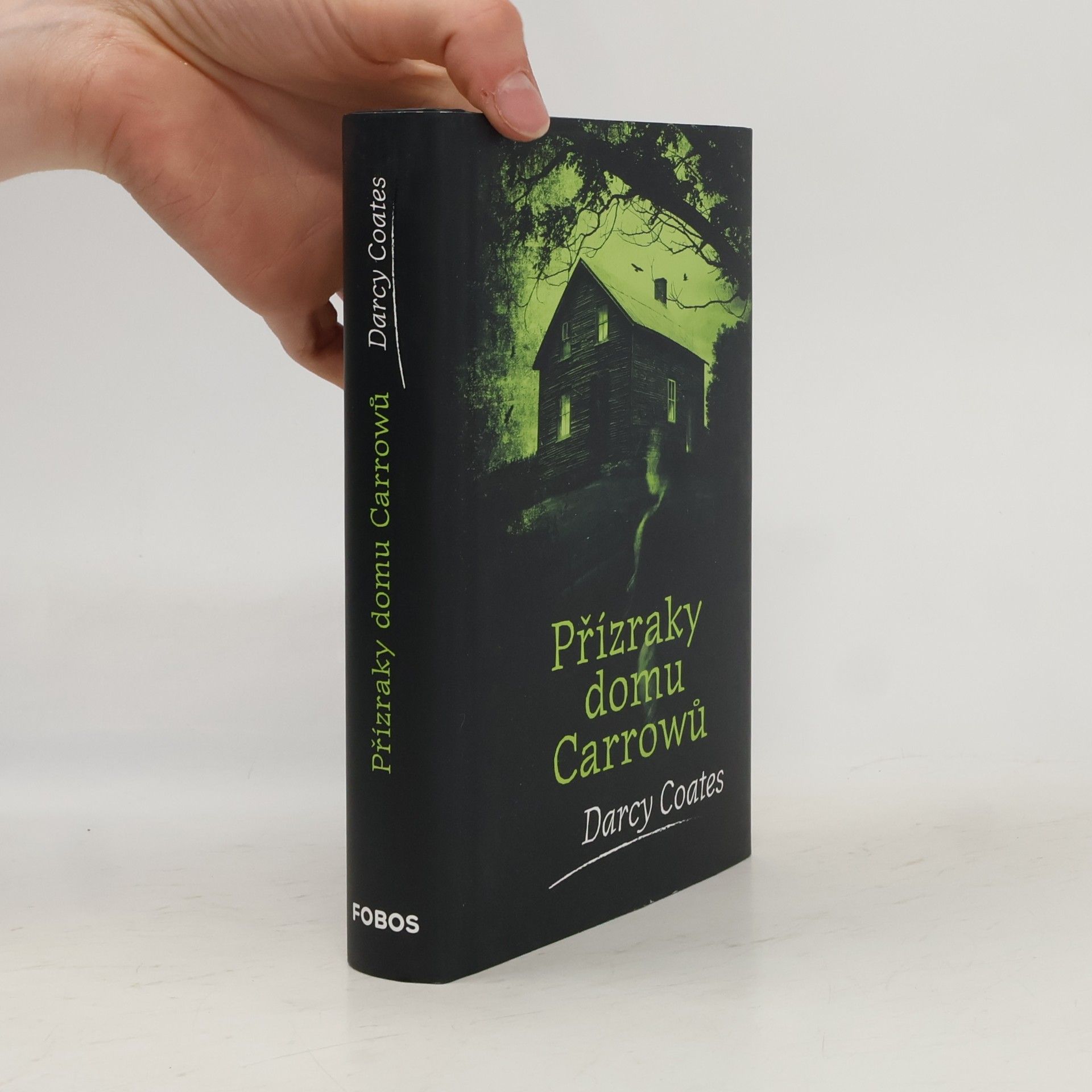 Darcy Coates Přízraky domu Carrowů