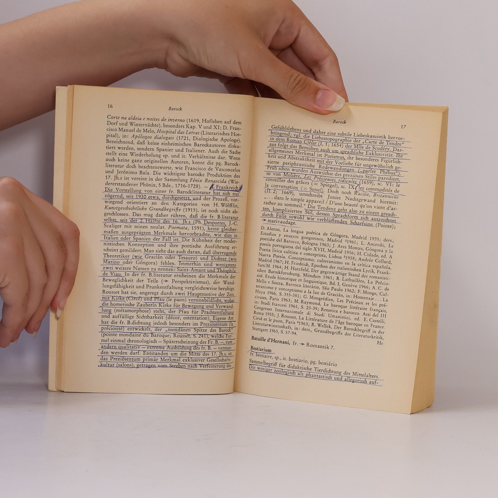 Rainer Hess Literaturwissenschaftliches Wörterbuch für Romanisten