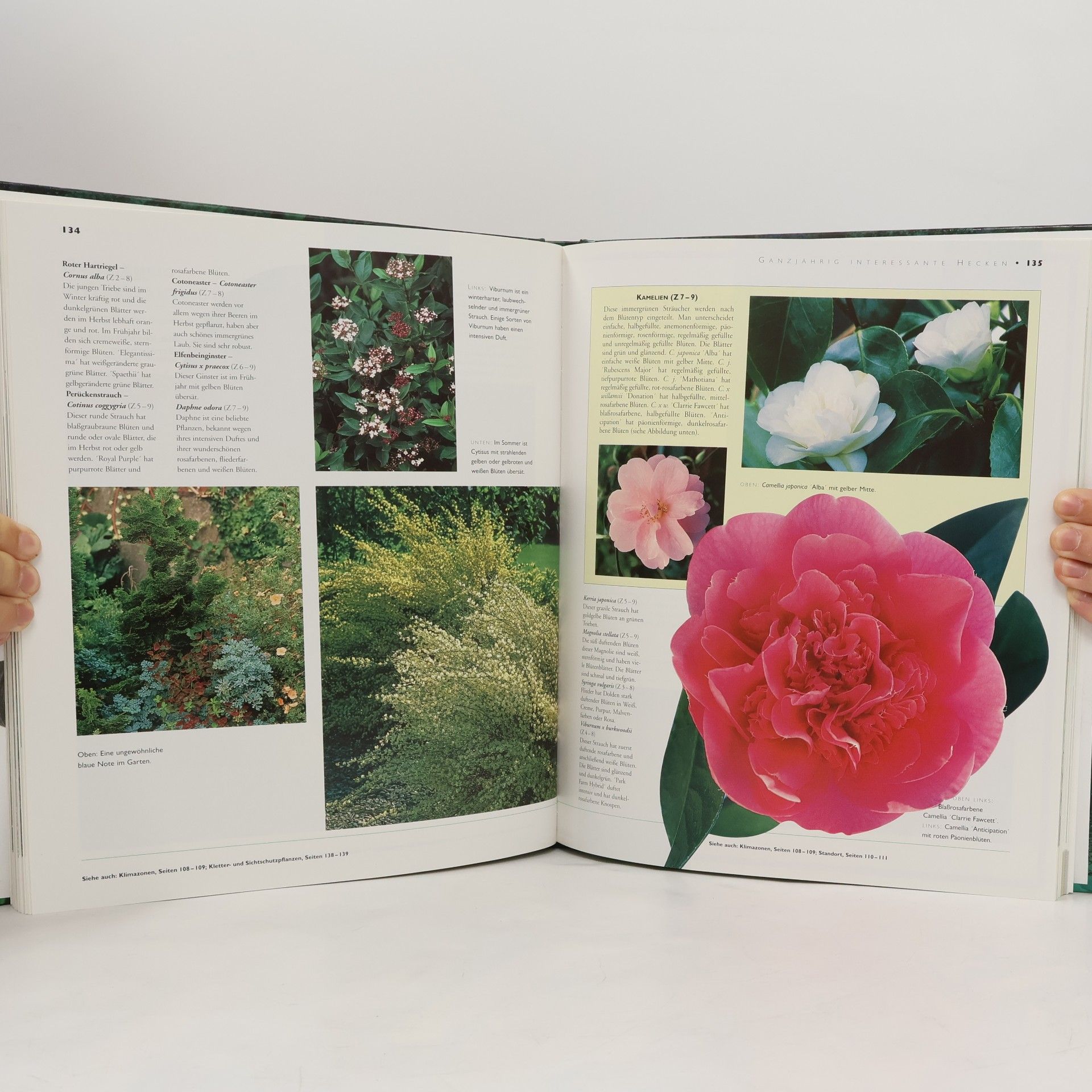 Laura Bamford Das große Buch der Gartenpraxis