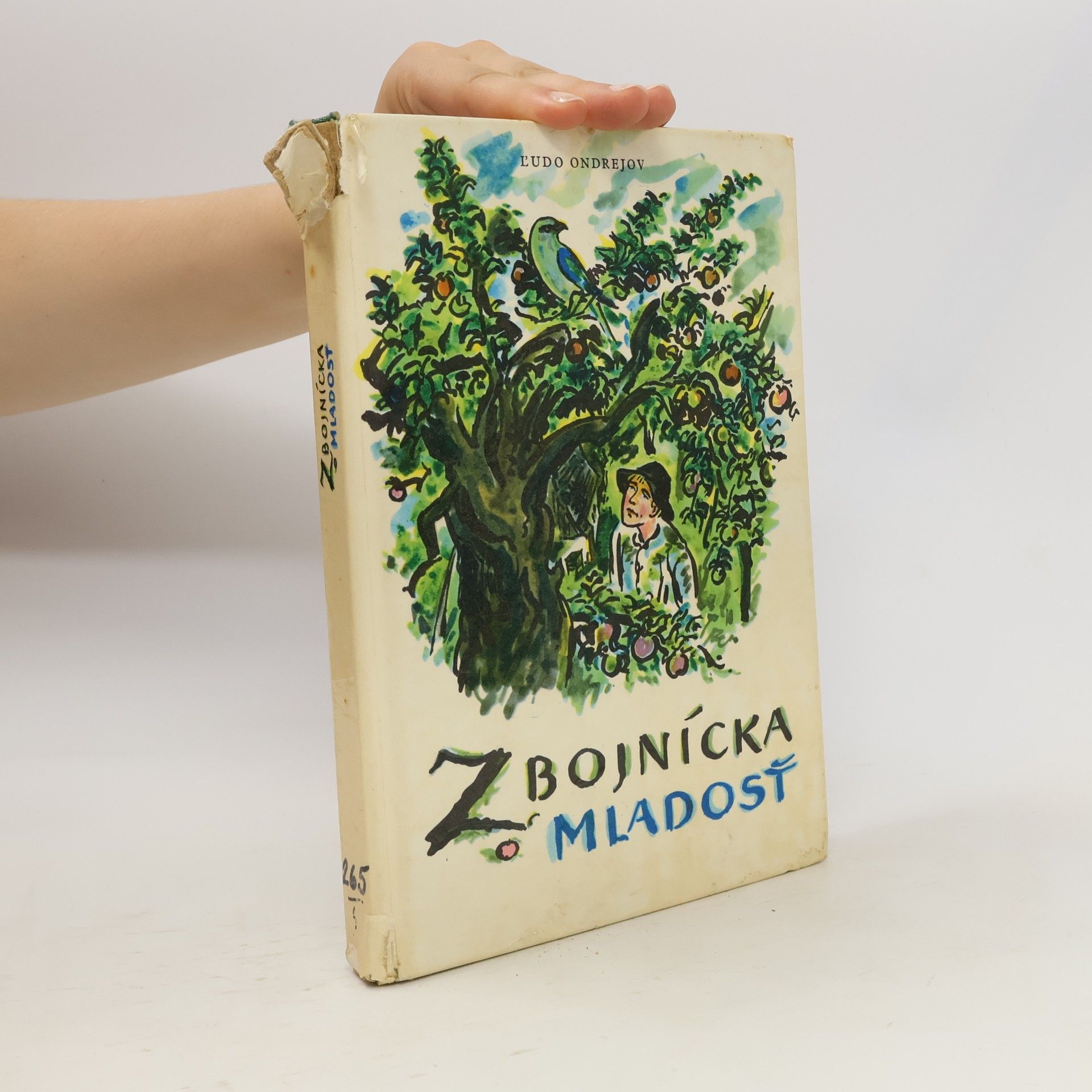 Ľudo Ondrejov Zbojnícka mladosť