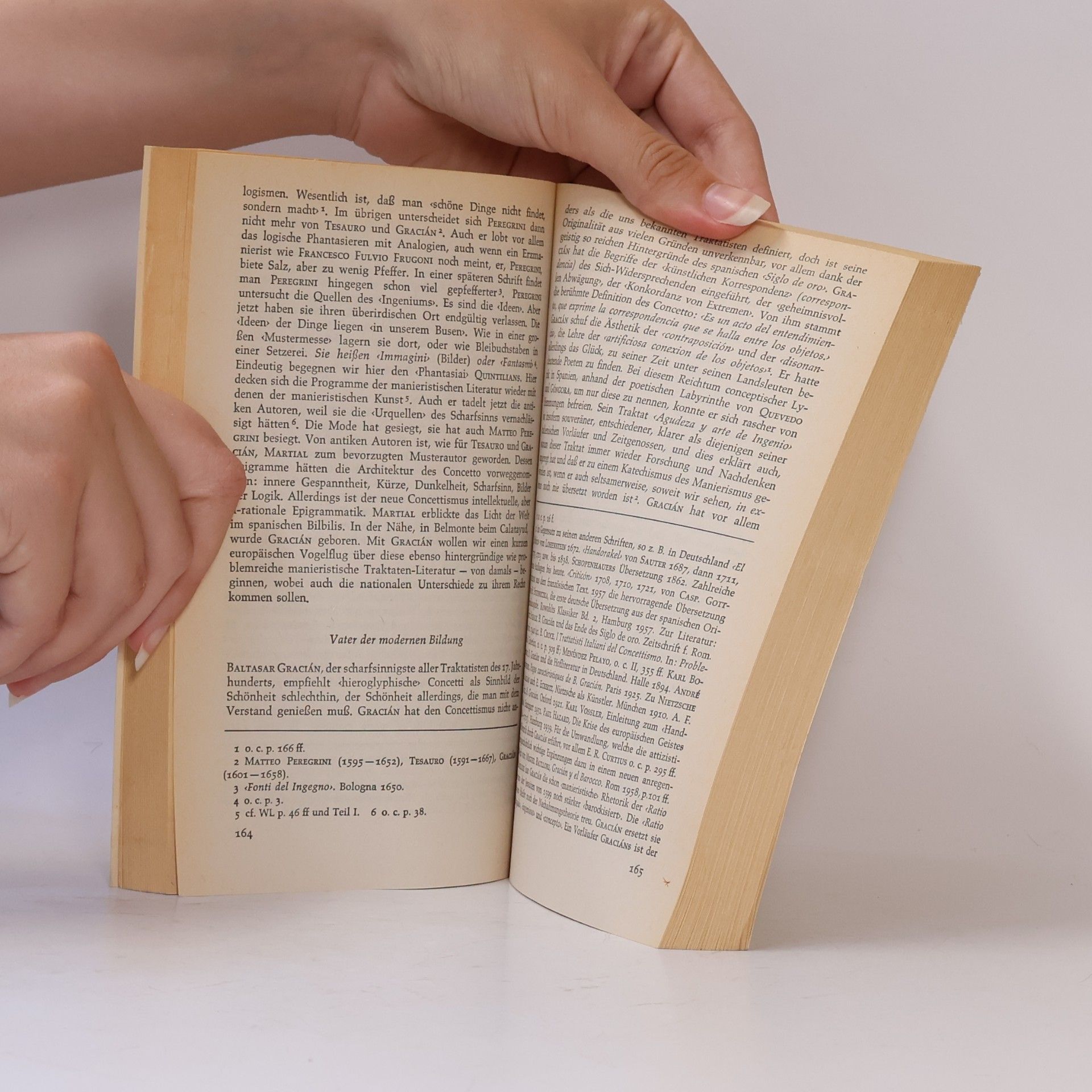 Gustav René Hocke Manierismus in der Literatur