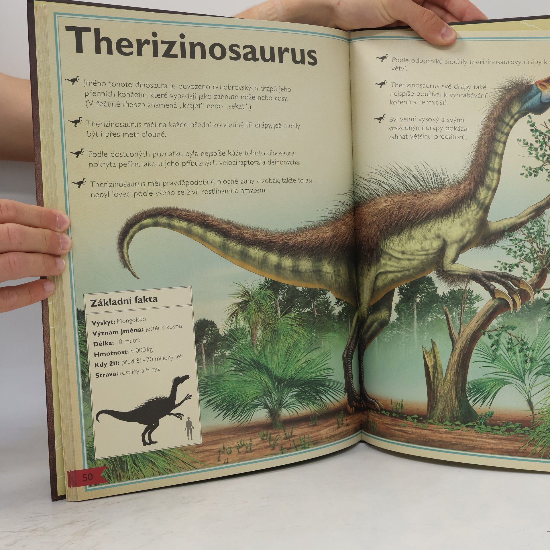 Jackson Tom Velkolepá kniha o dinosaurech