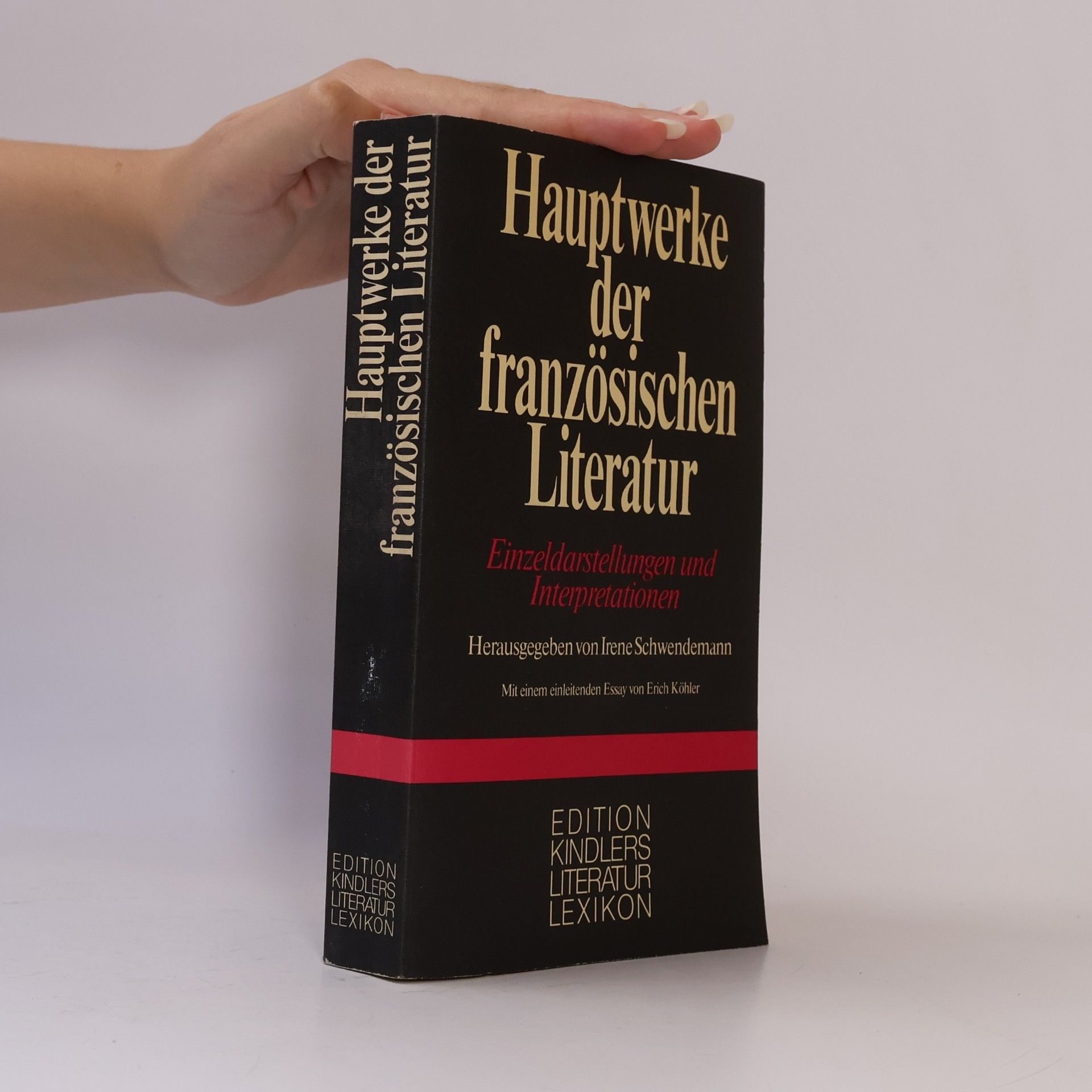 Irene Schwendemann Hauptwerke der französischen Literatur