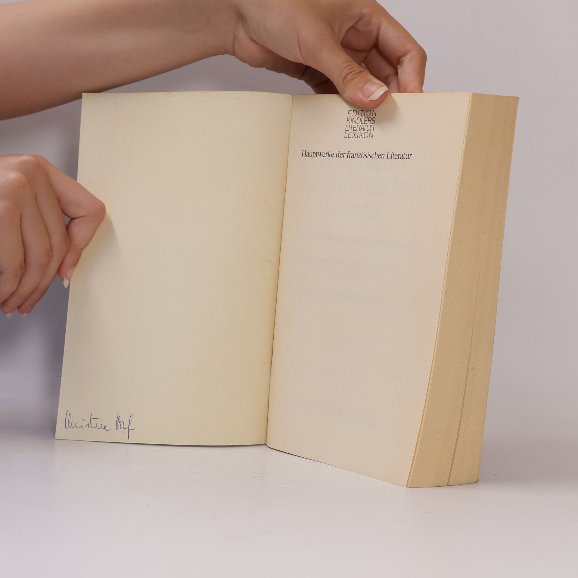 Irene Schwendemann Hauptwerke der französischen Literatur