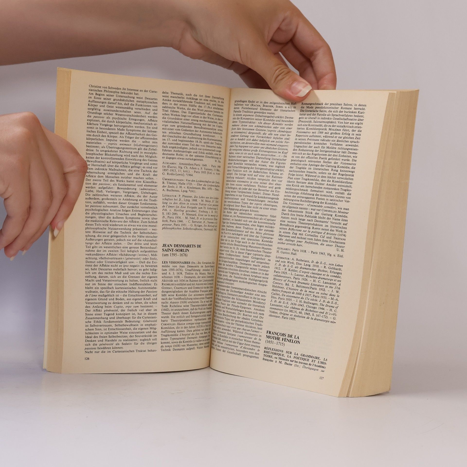 Irene Schwendemann Hauptwerke der französischen Literatur