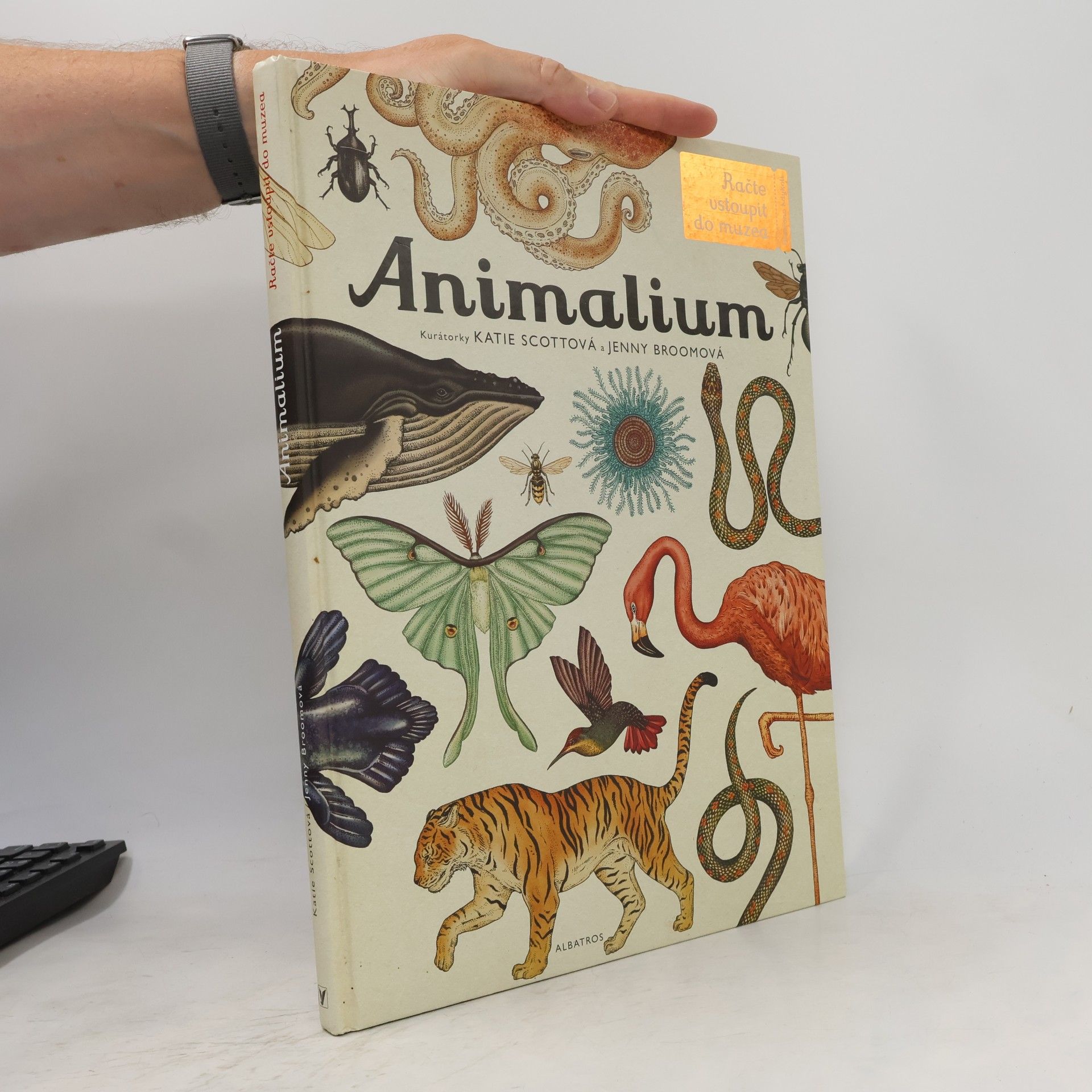 Jenny Broom Animalium