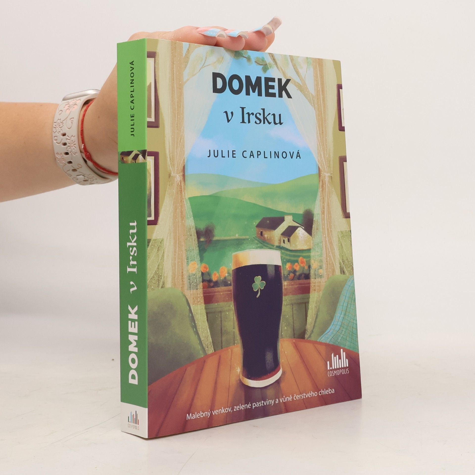 Julie Caplin Domek v Irsku