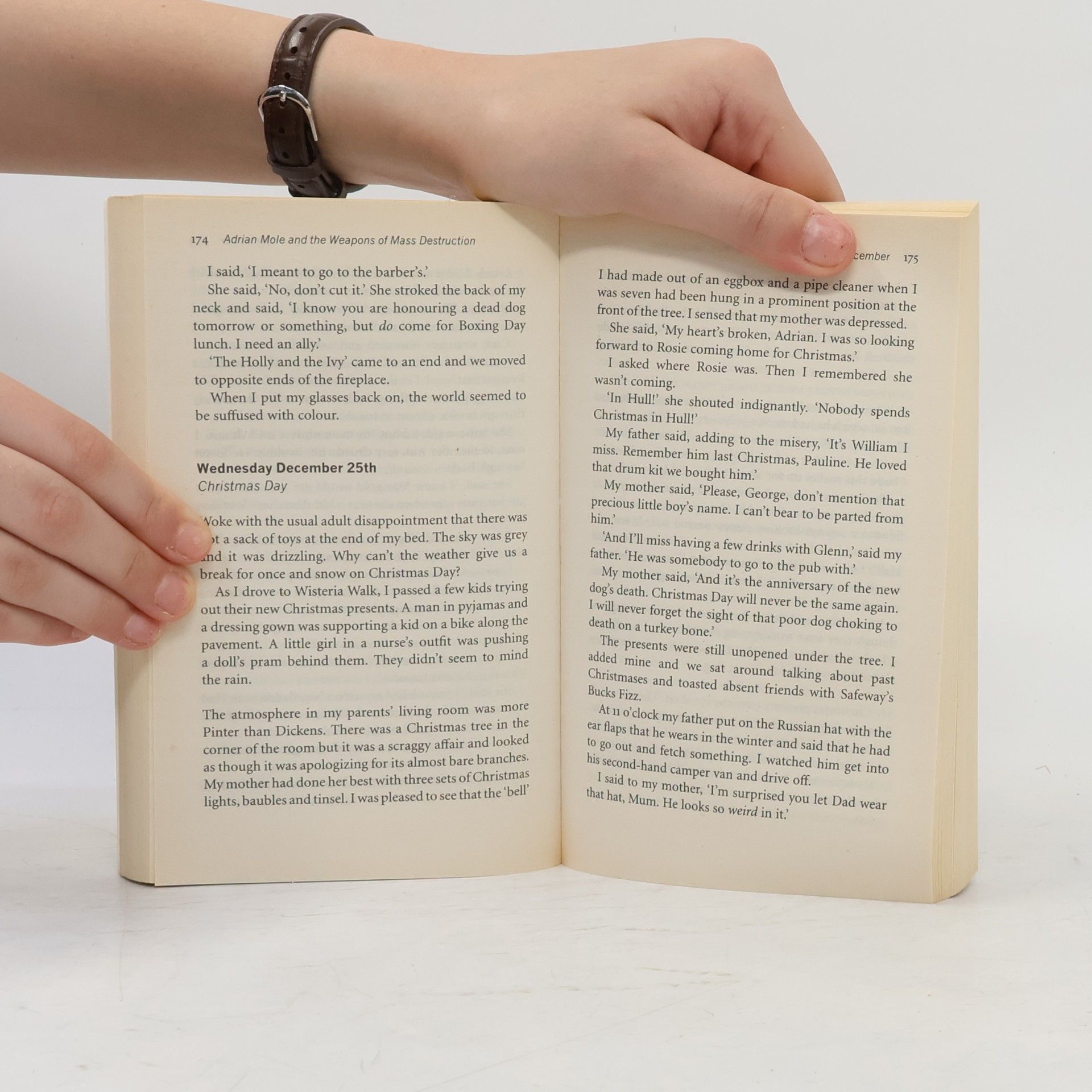 Sue Townsendová Adrian Mole and the Weapons of Mass Destruction