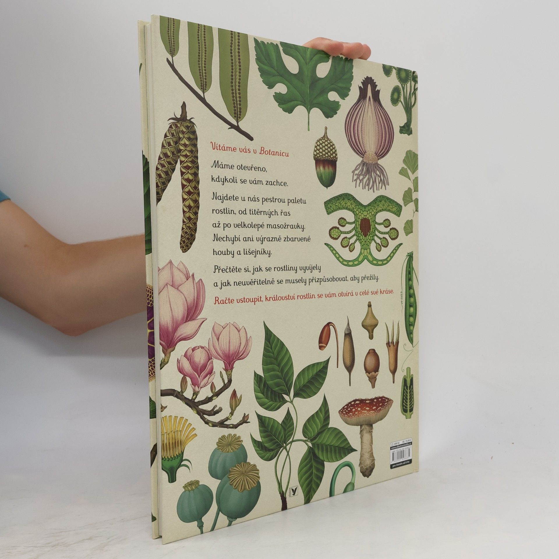 Katie Scott Botanicum
