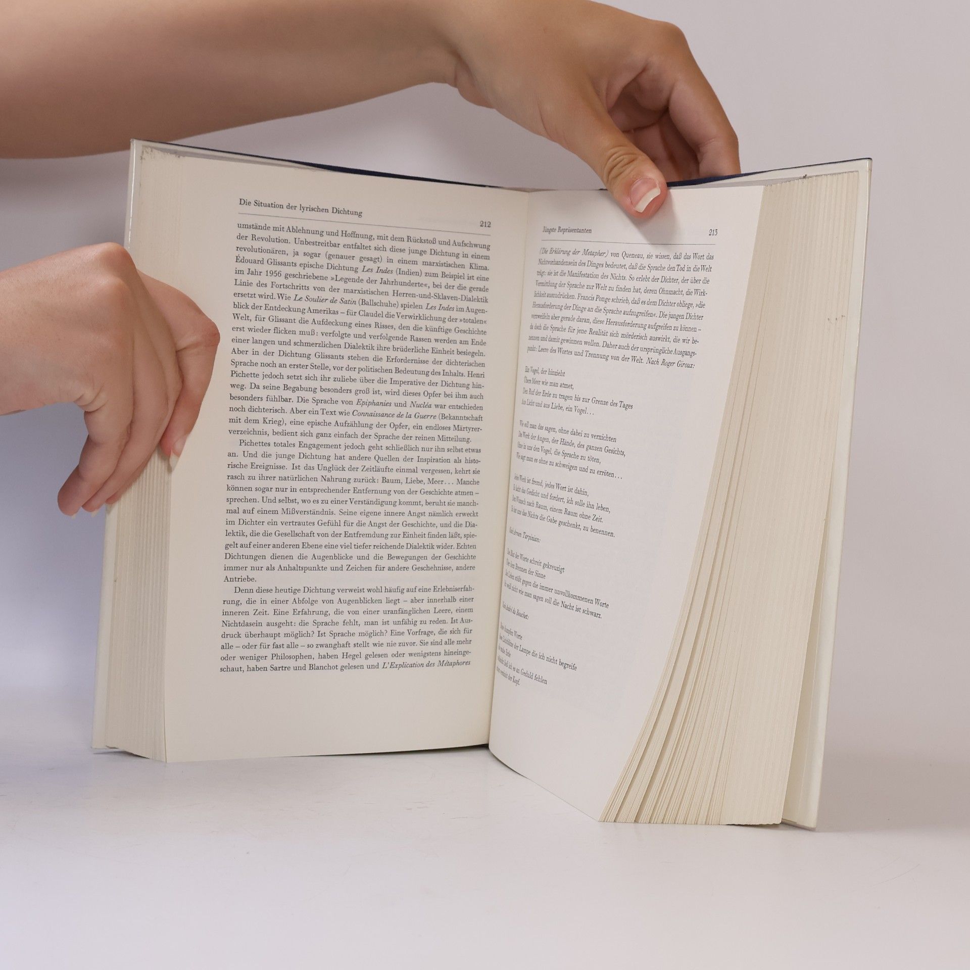 Autorenkollektiv Panorama der modernen Literatur. Frankreich. Gaëtan Picon