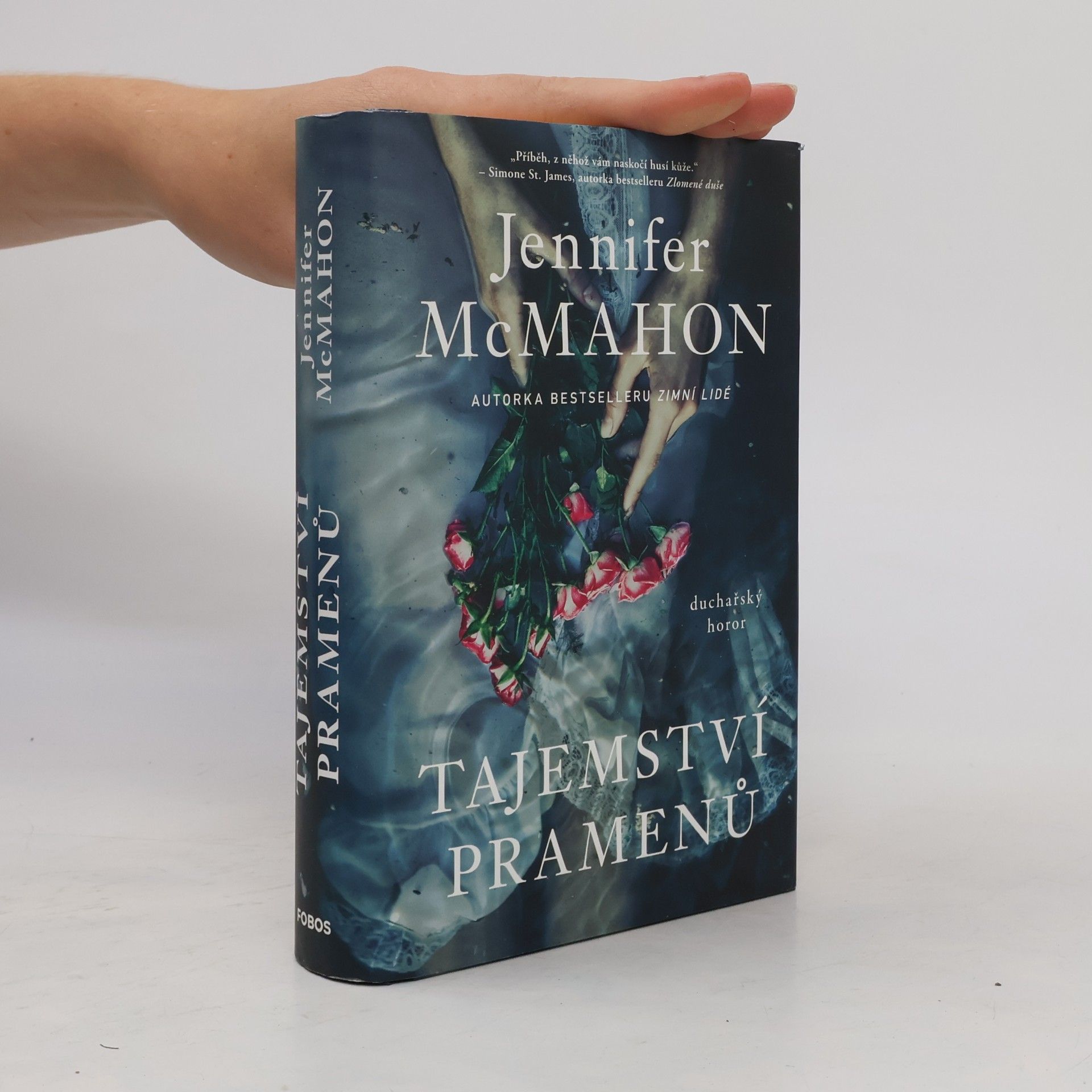 Jennifer McMahon Tajemství pramenů