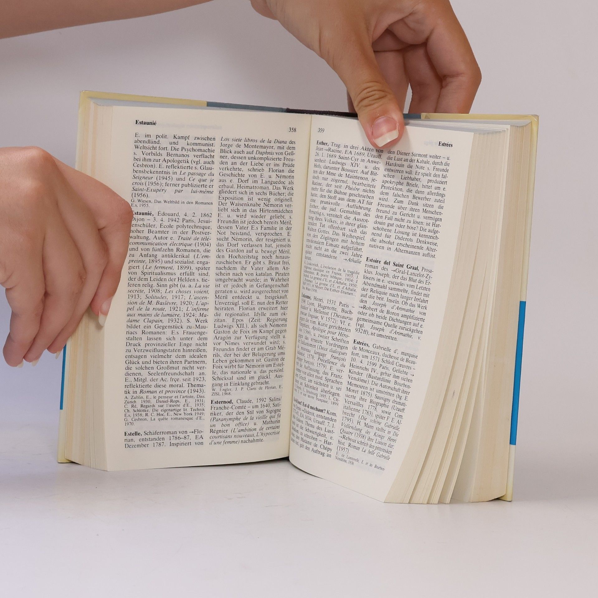 Winfried Engler Lexikon der französischen Literatur