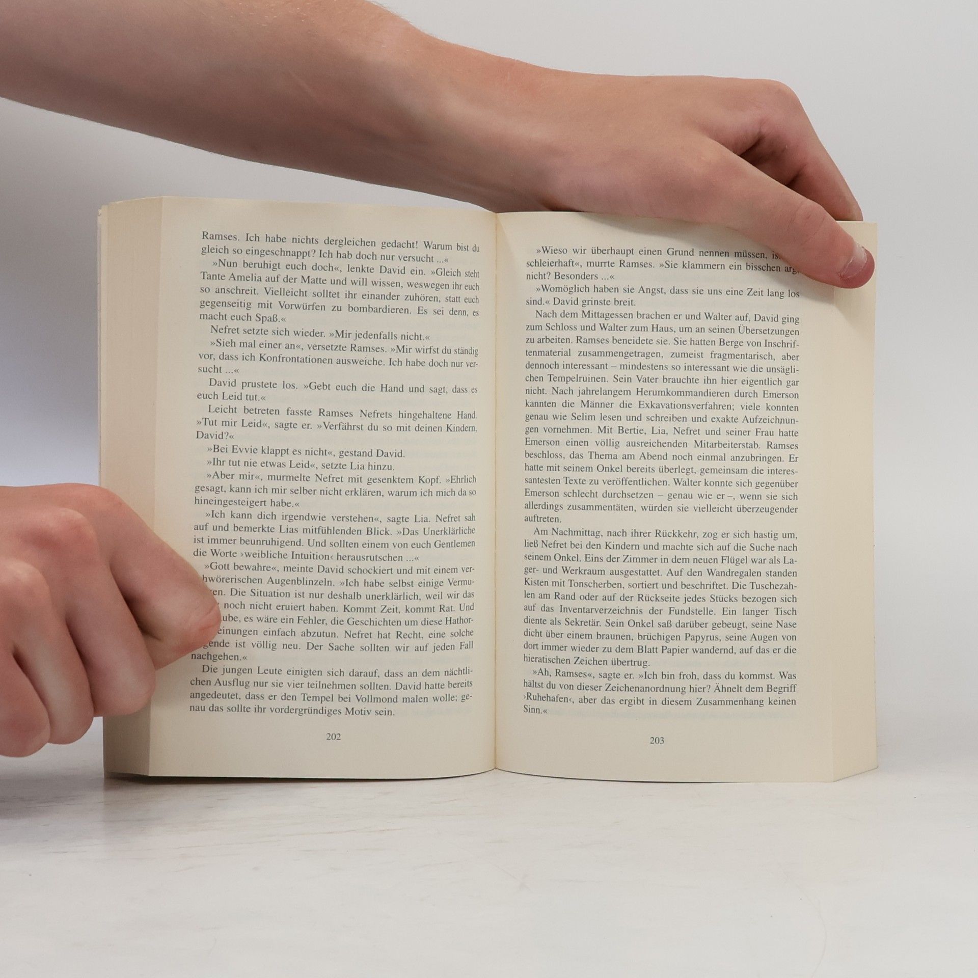 Elizabeth Peters Der Herr des Sturms. Ein Amelia Peabody Krimi