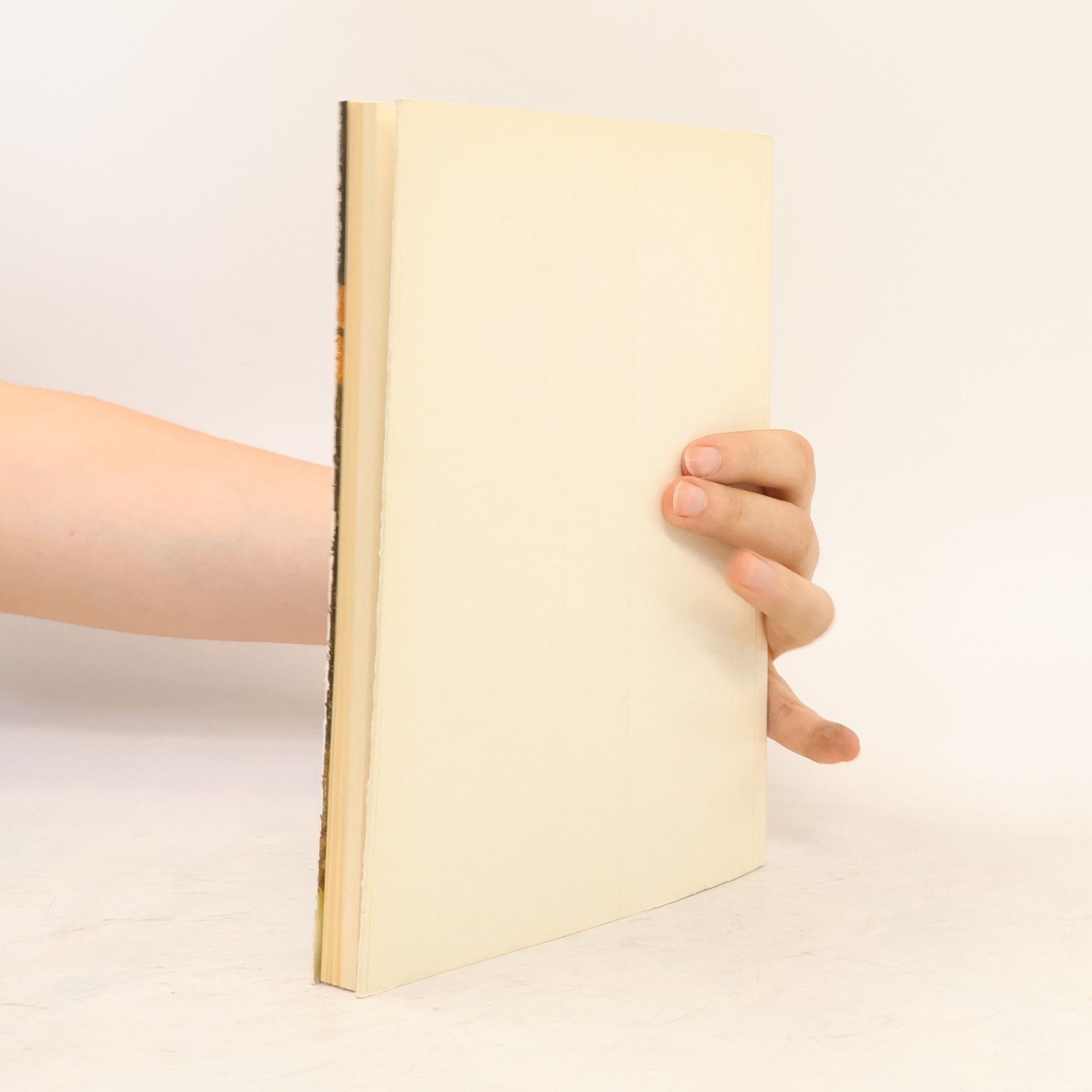 Autores varios Oskar Reinhart. Am Römerholz in Winterthur