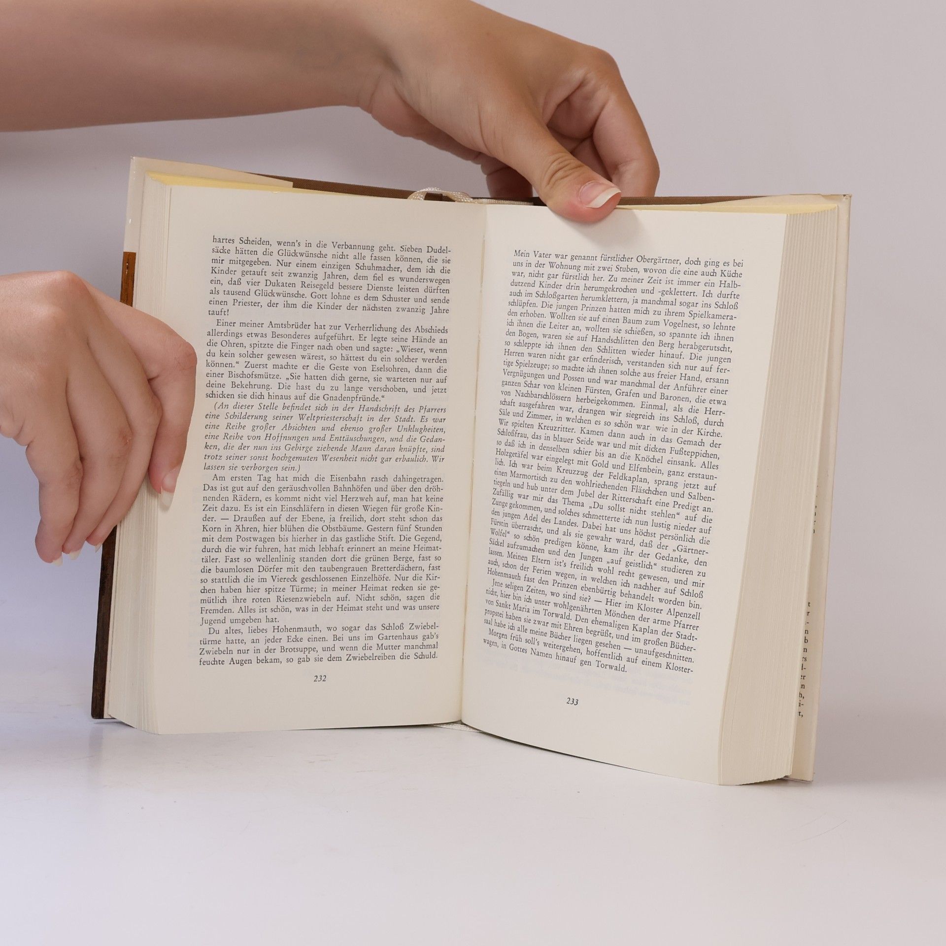 Peter Rosegger Die Schriften des waldschulmeisters. Das ewige licht