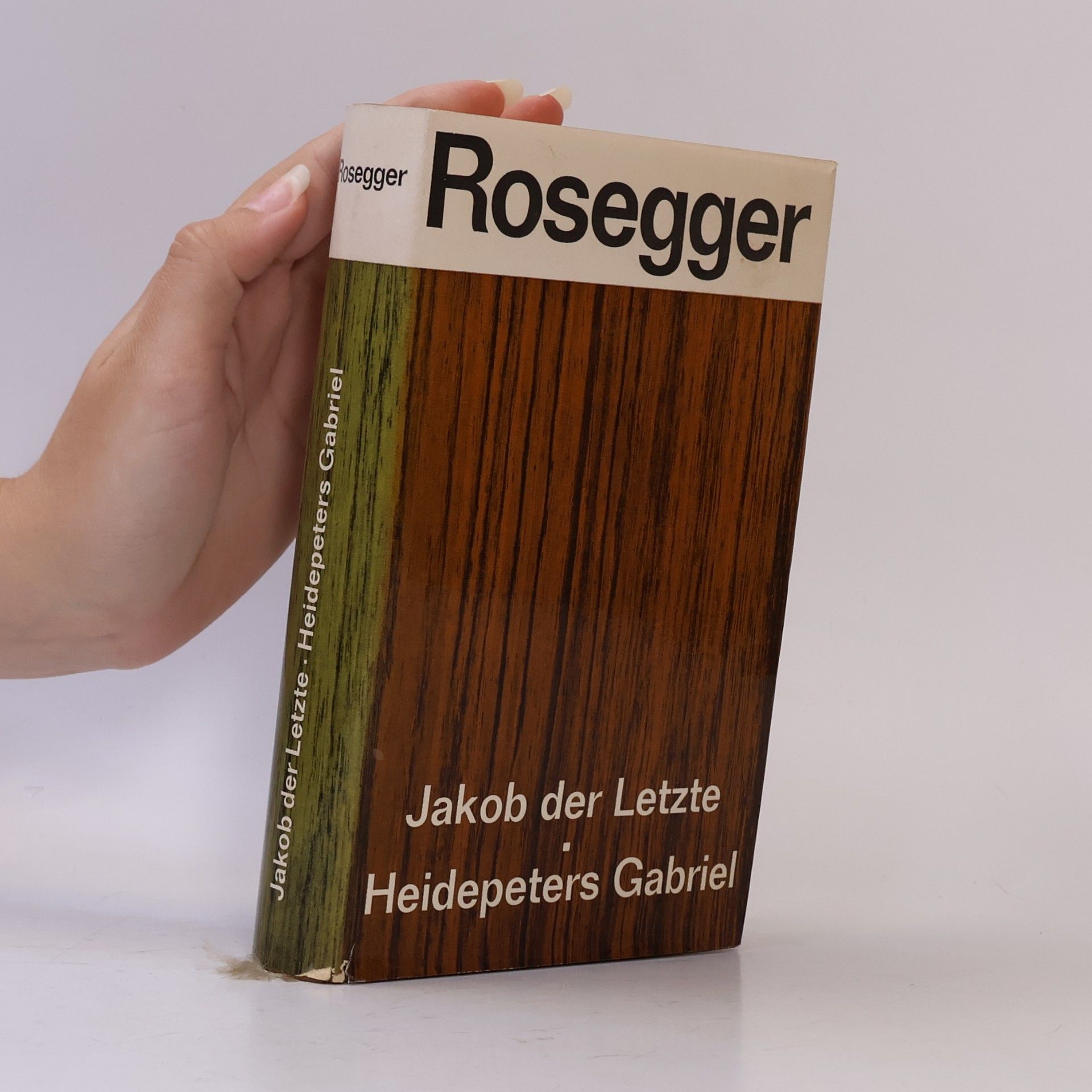 Jakob der Letzte; Heidepeters Gabriel