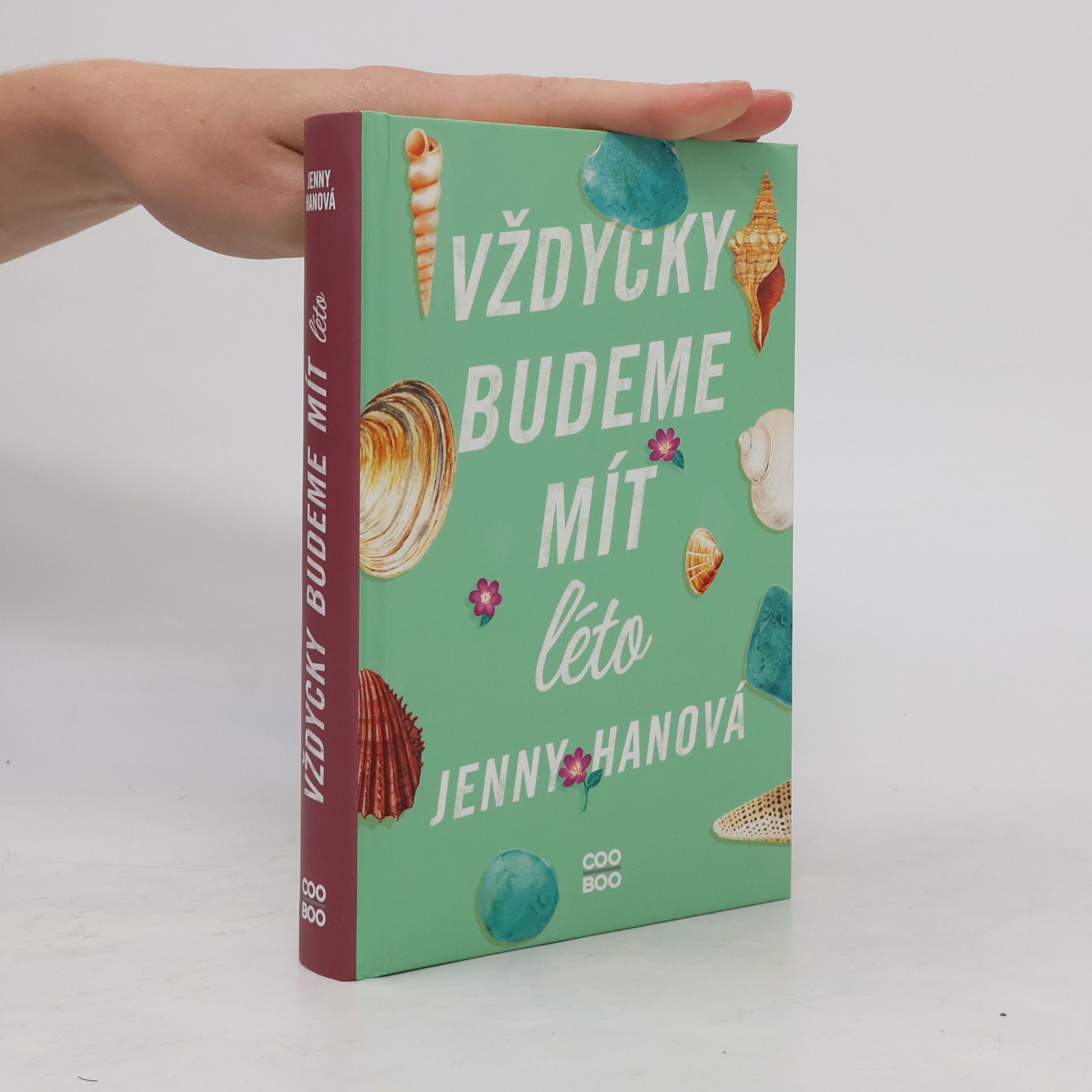 Jenny Han Vždycky budeme mít léto