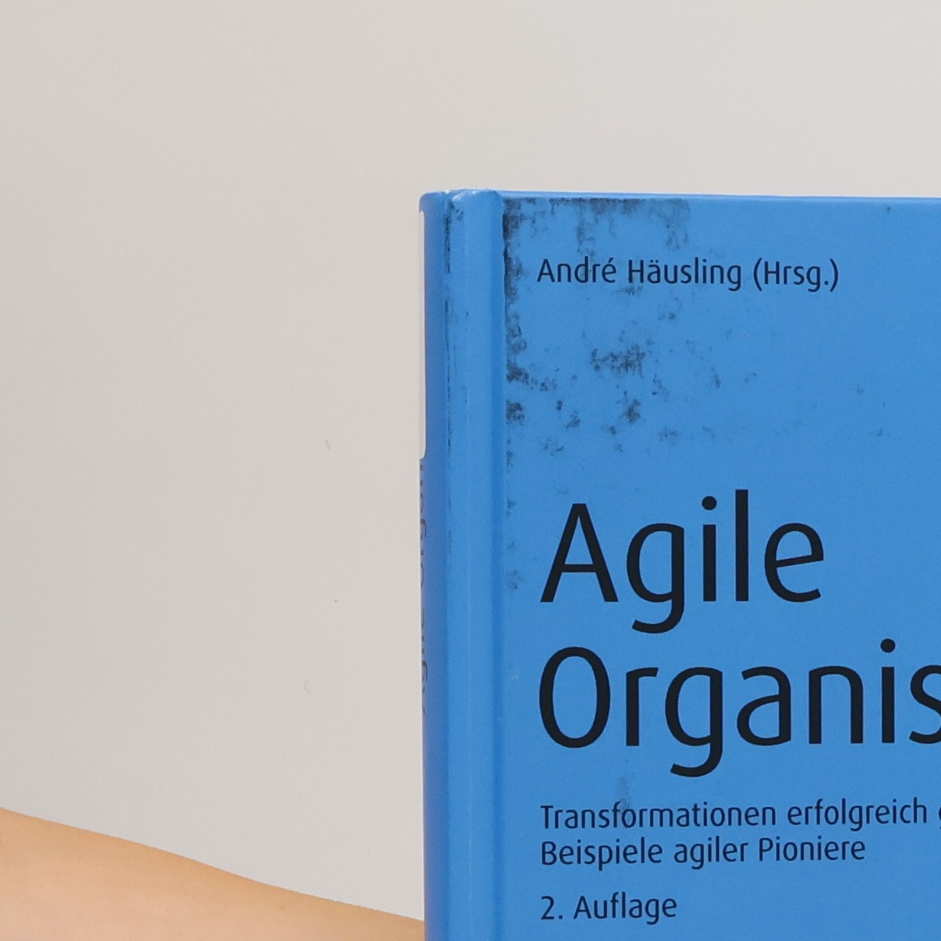 André Häusling Agile Organisationen