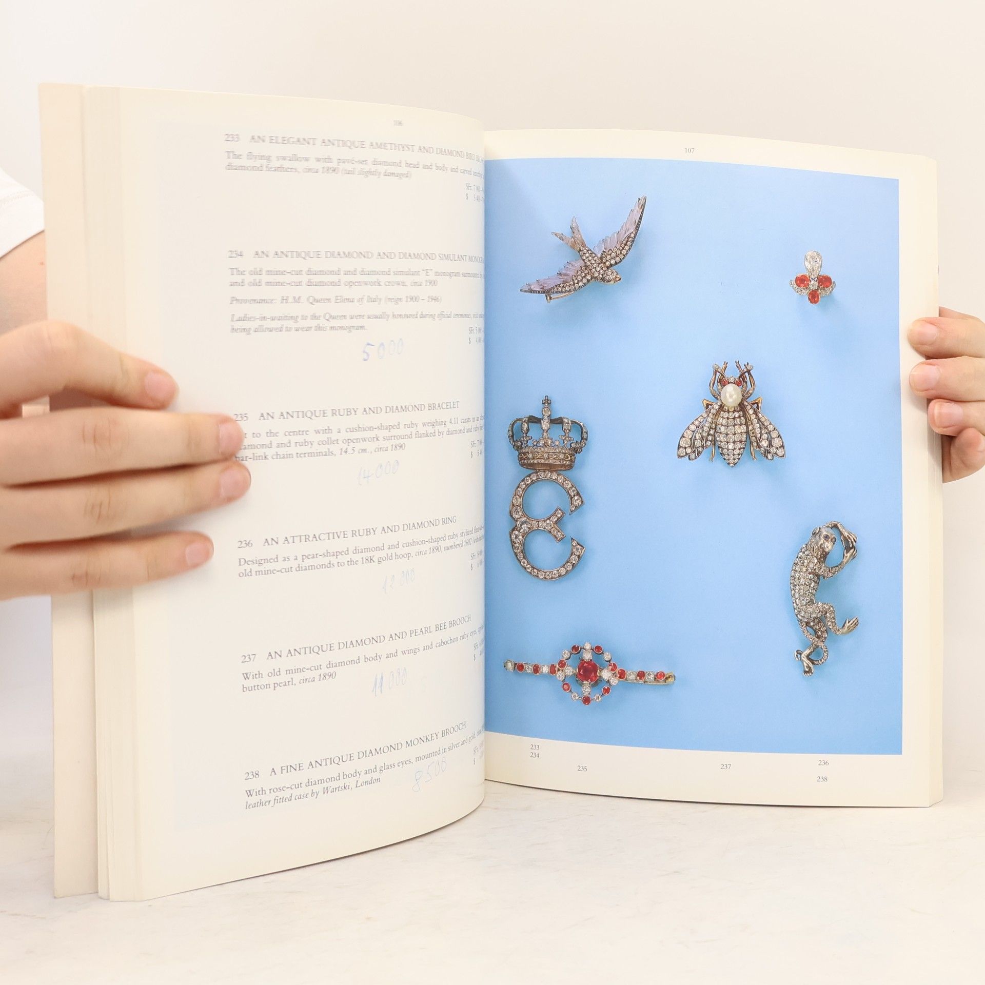 Collectif d'auteurs Magnificient Jewels