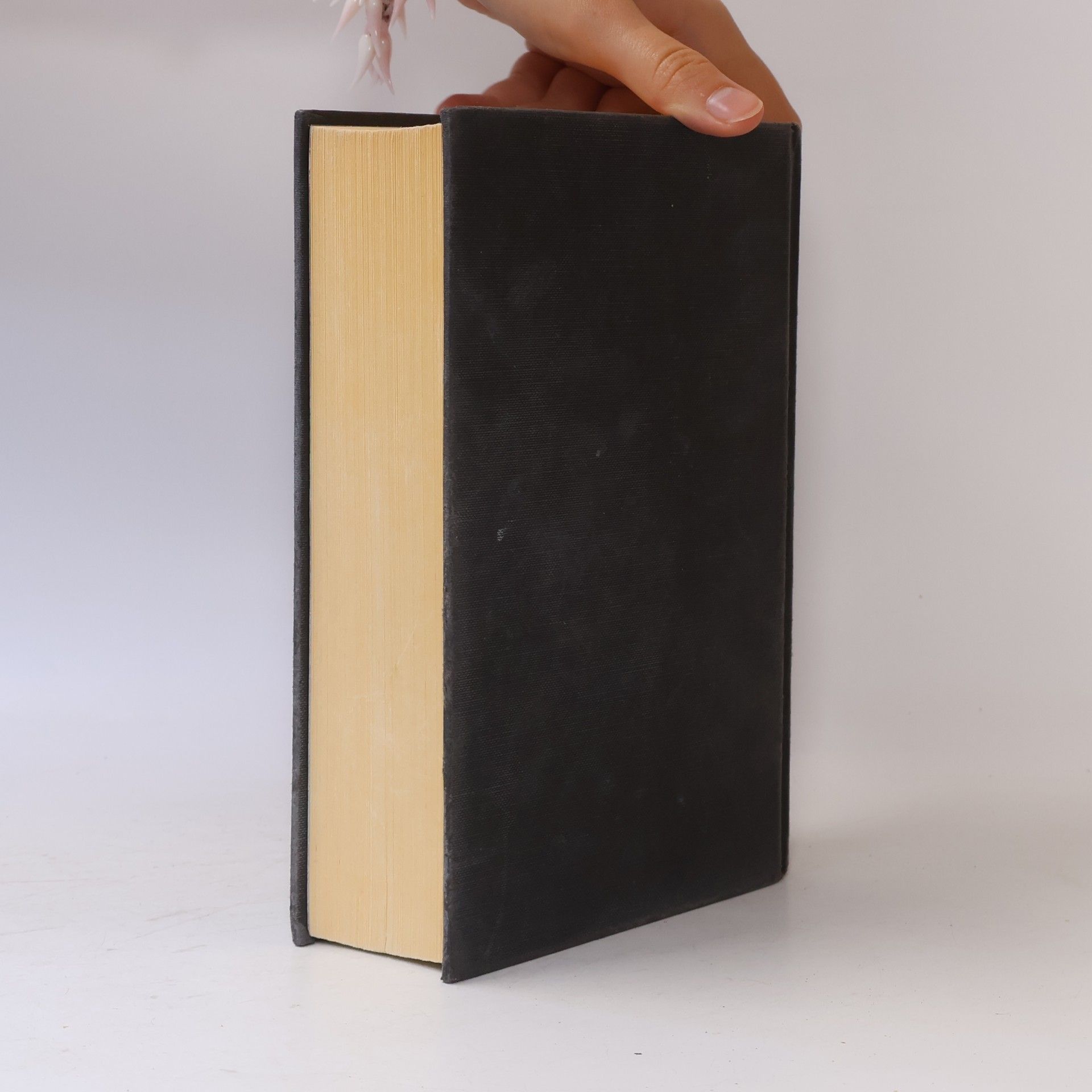 Stephenie Meyer Zatmenie