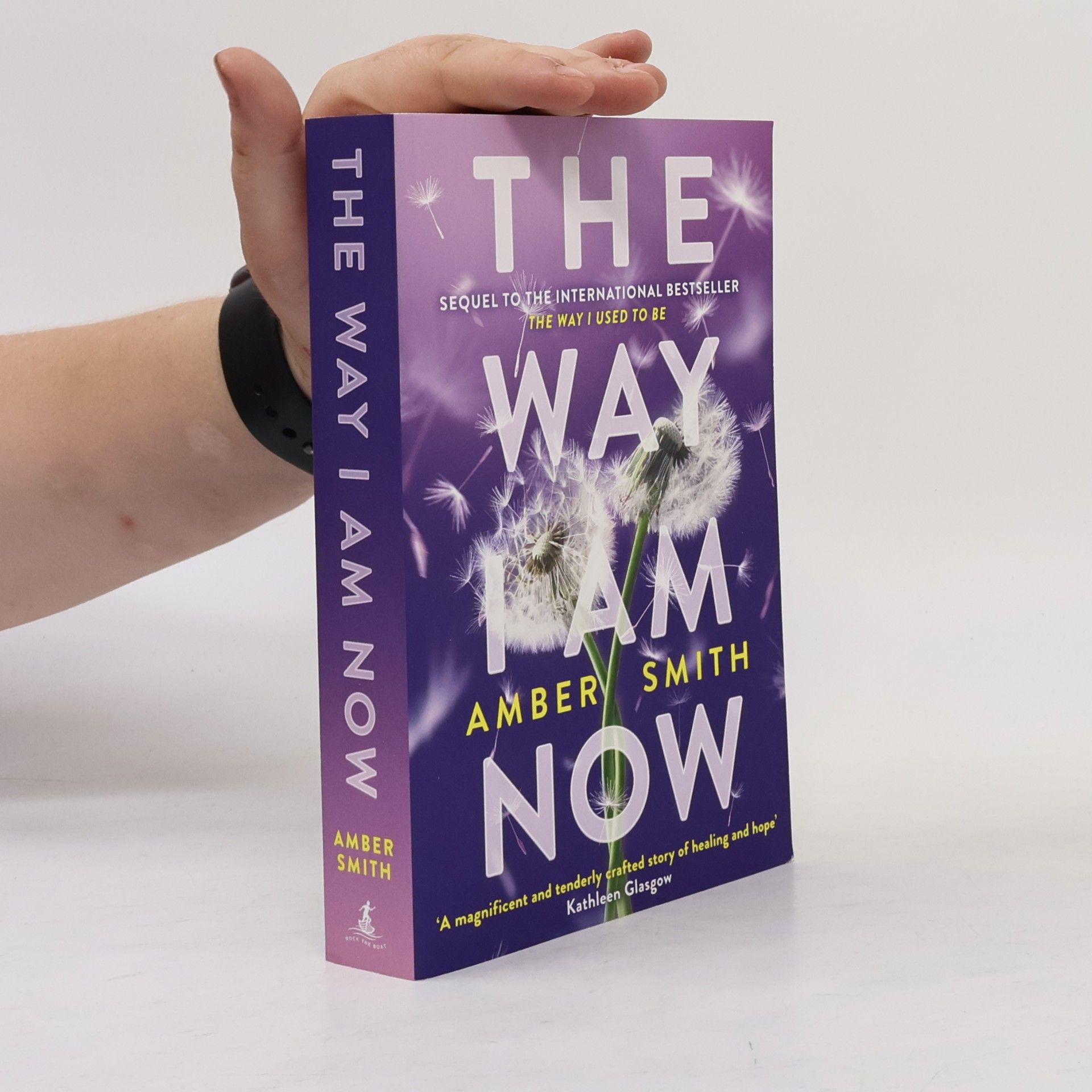Amber Smith The Way I Am Now