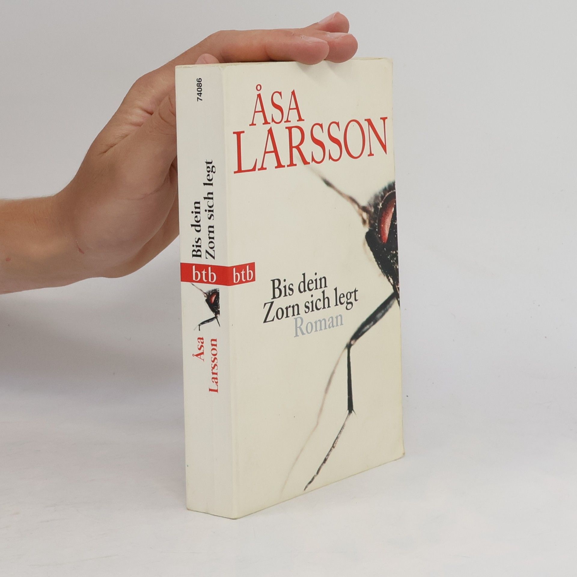 Åsa Larsson Bis dein Zorn sich legt
