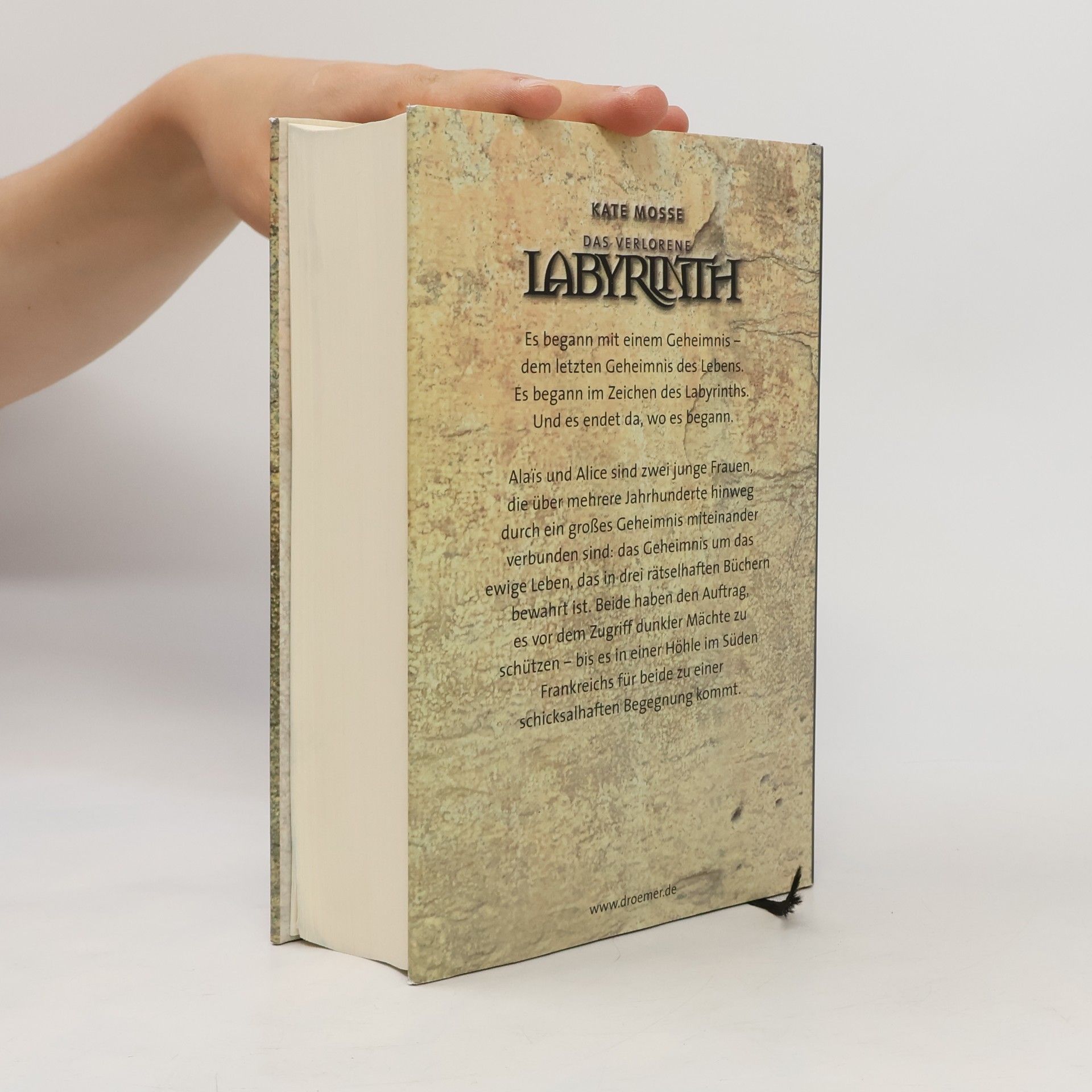 Kate Mosse Das Verlorene Labyrinth