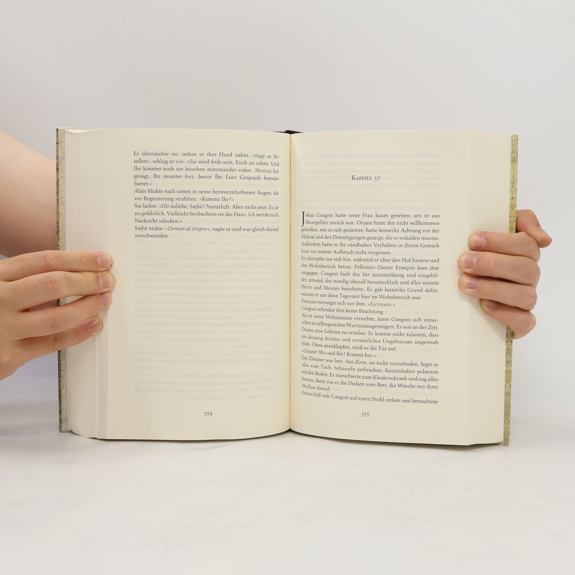 Kate Mosse Das Verlorene Labyrinth
